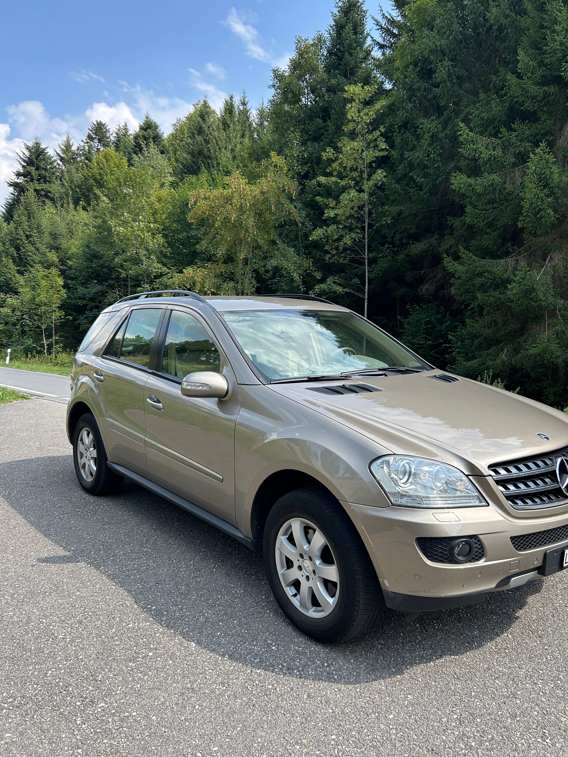 MERCEDES-BENZ ML 320 CDI-image-5