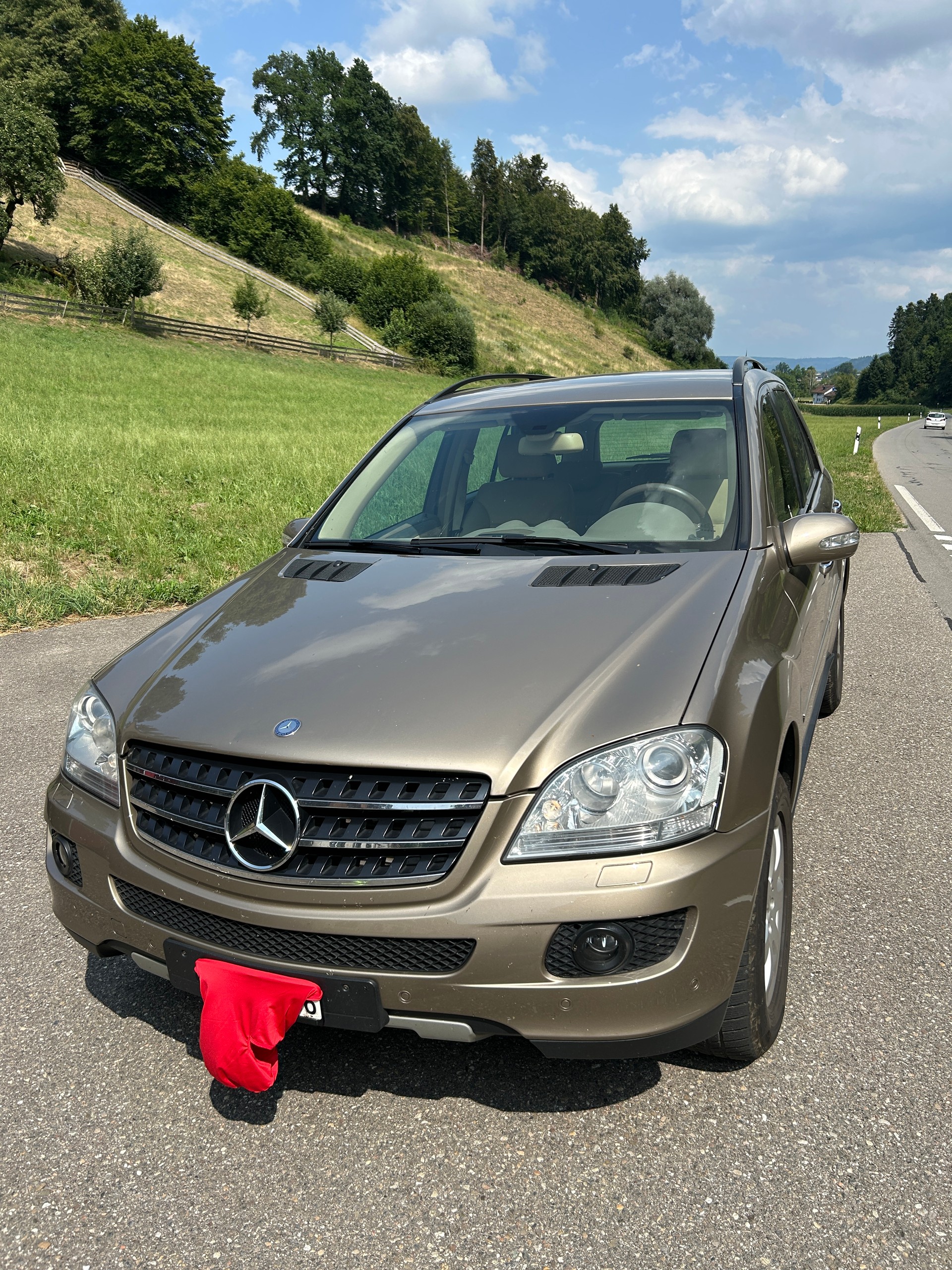 MERCEDES-BENZ ML 320 CDI-image-1