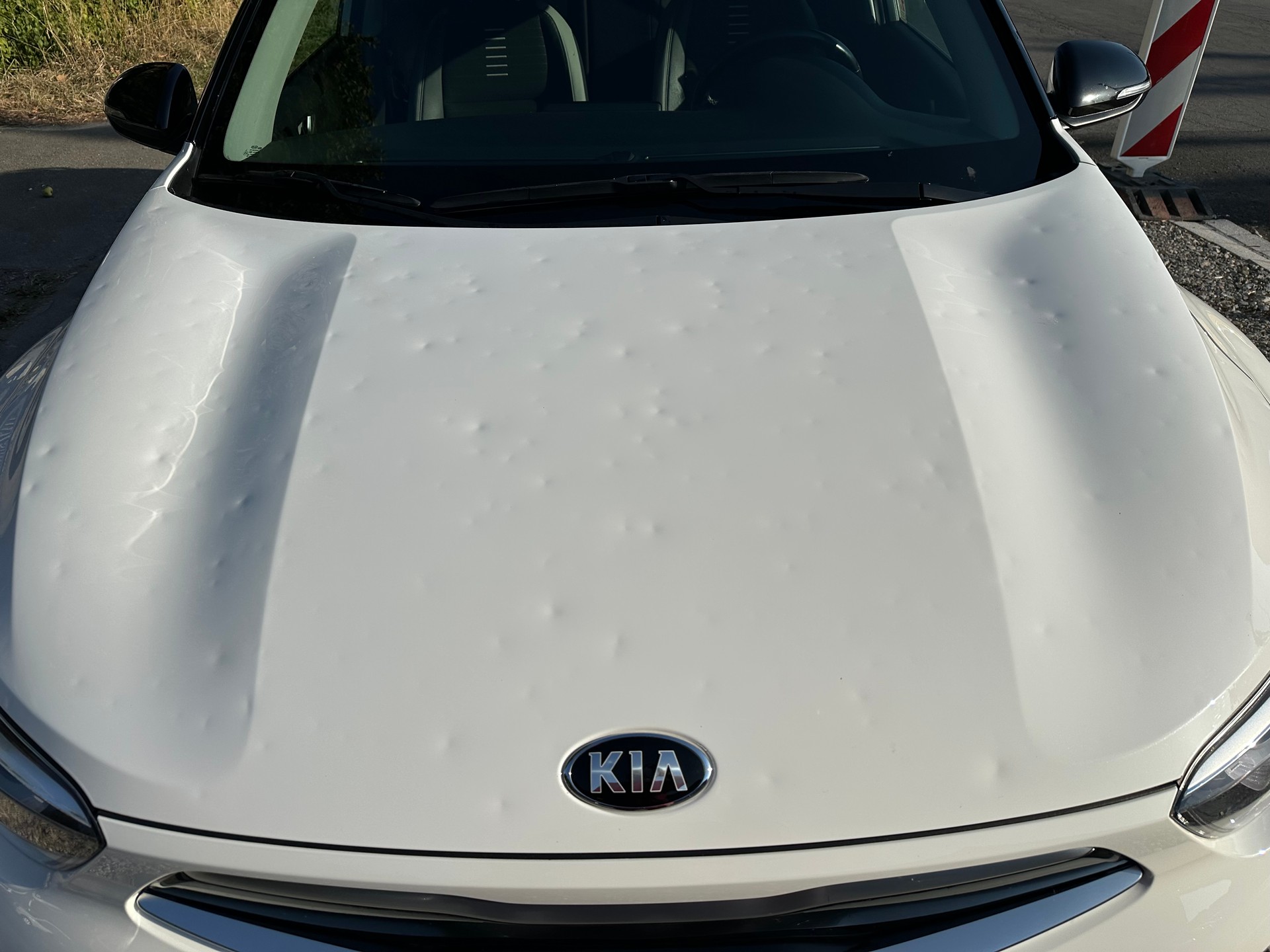 KIA Stonic 1.0 T-GDi FIXPREIS-image-3