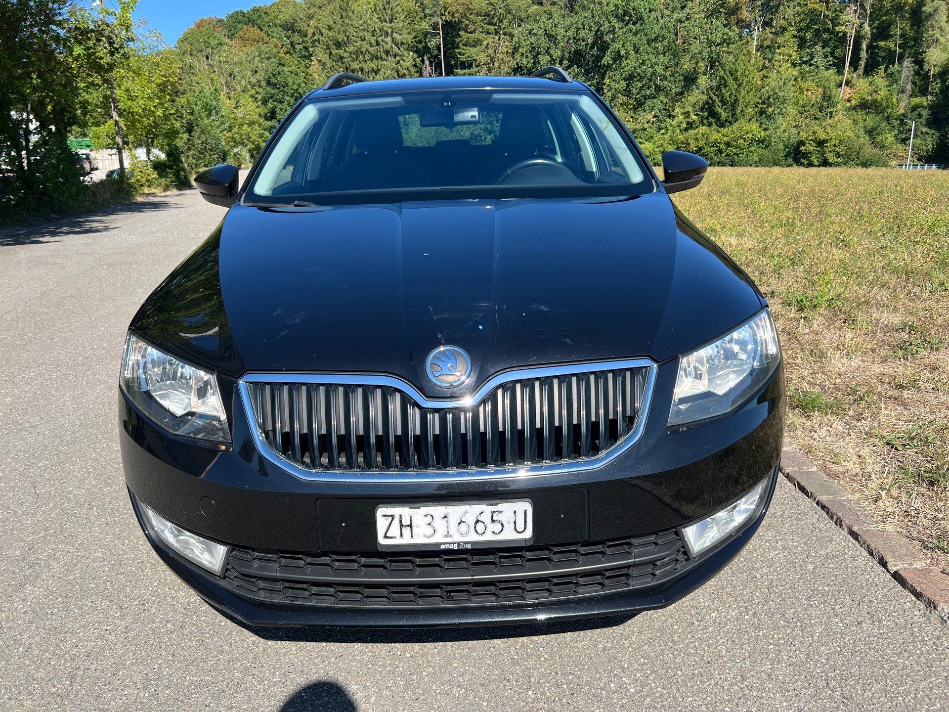 SKODA Octavia Combi 1.8 TSI Elegance 4x4 DSG-image-0