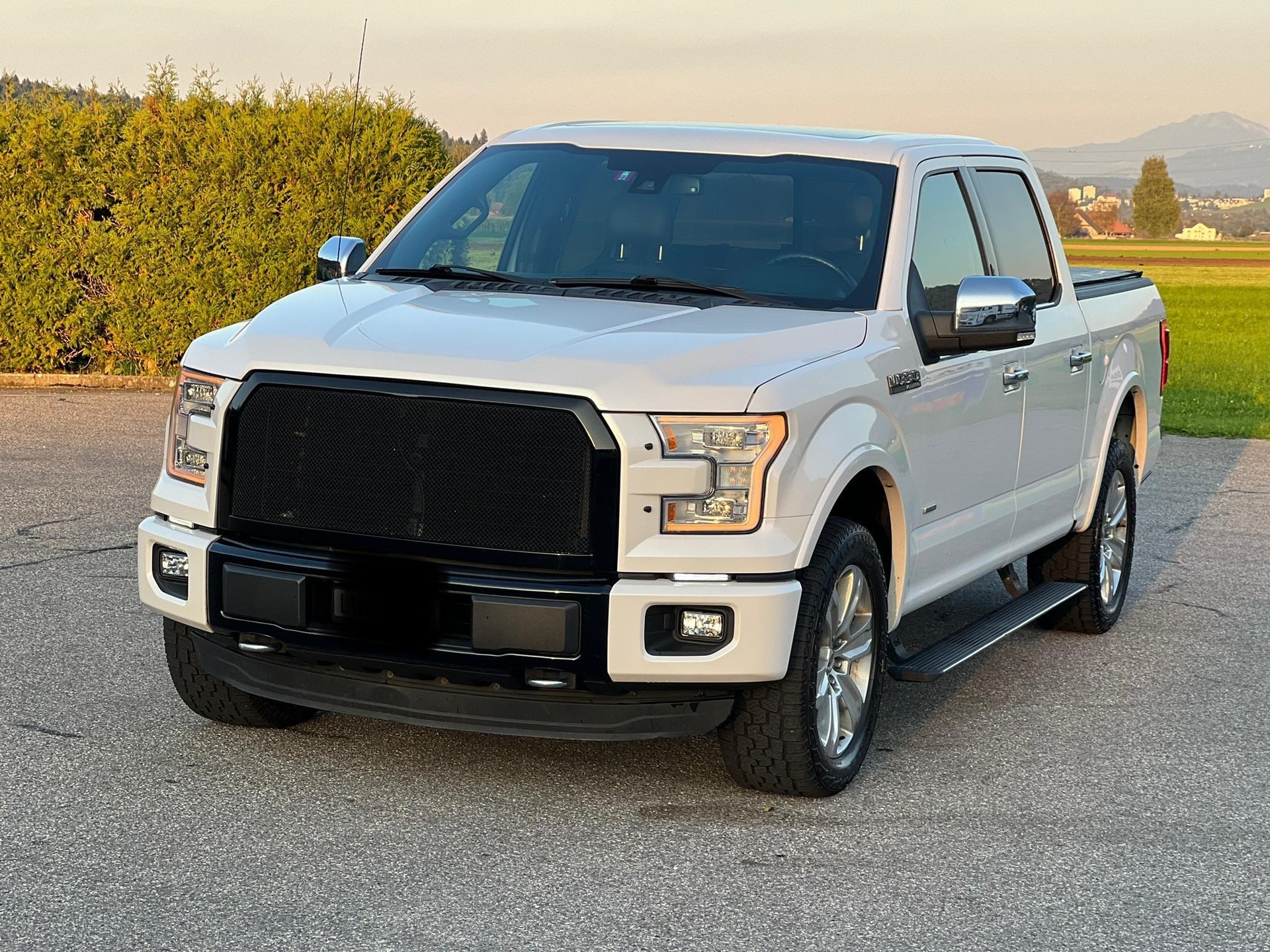 FORD F-Pickup Platinum Edition-image-0