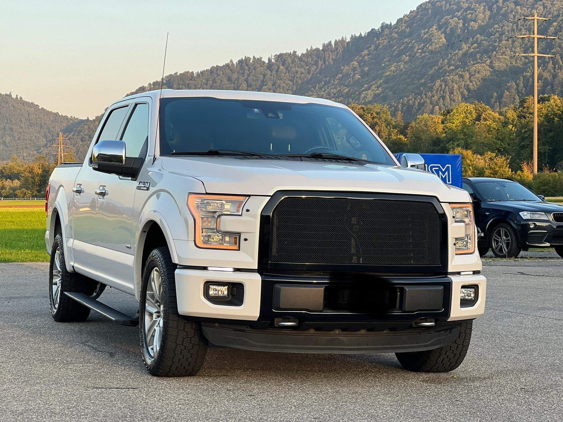 FORD F-Pickup Platinum Edition-image-1