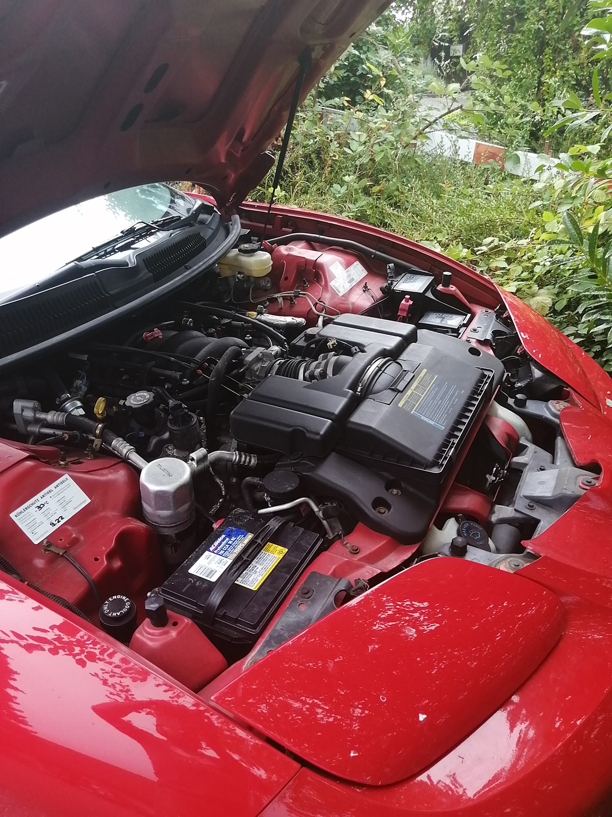 PONTIAC Firebird 5.7 V8 Trans Am-image-10