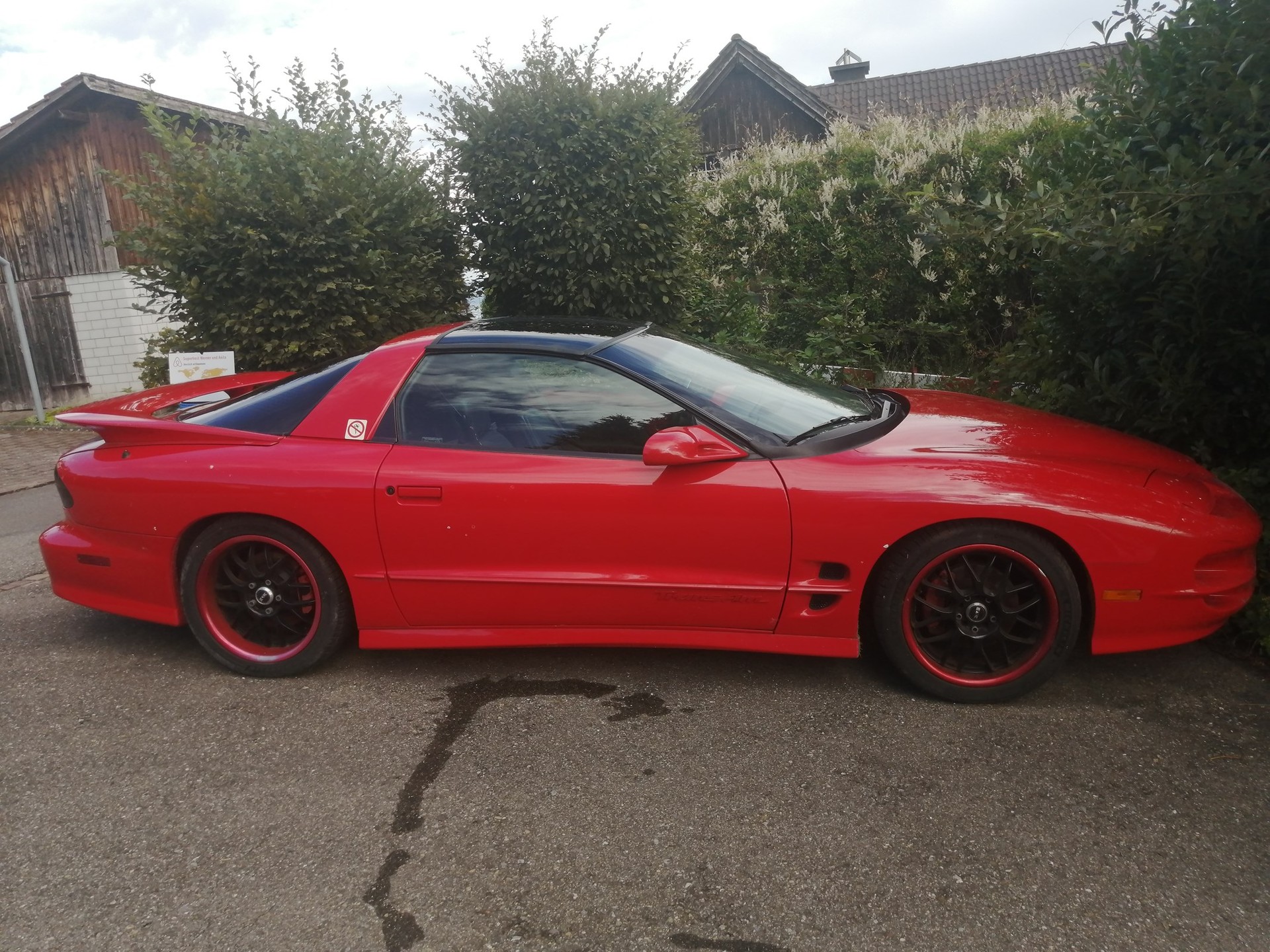 PONTIAC Firebird 5.7 V8 Trans Am-image-2