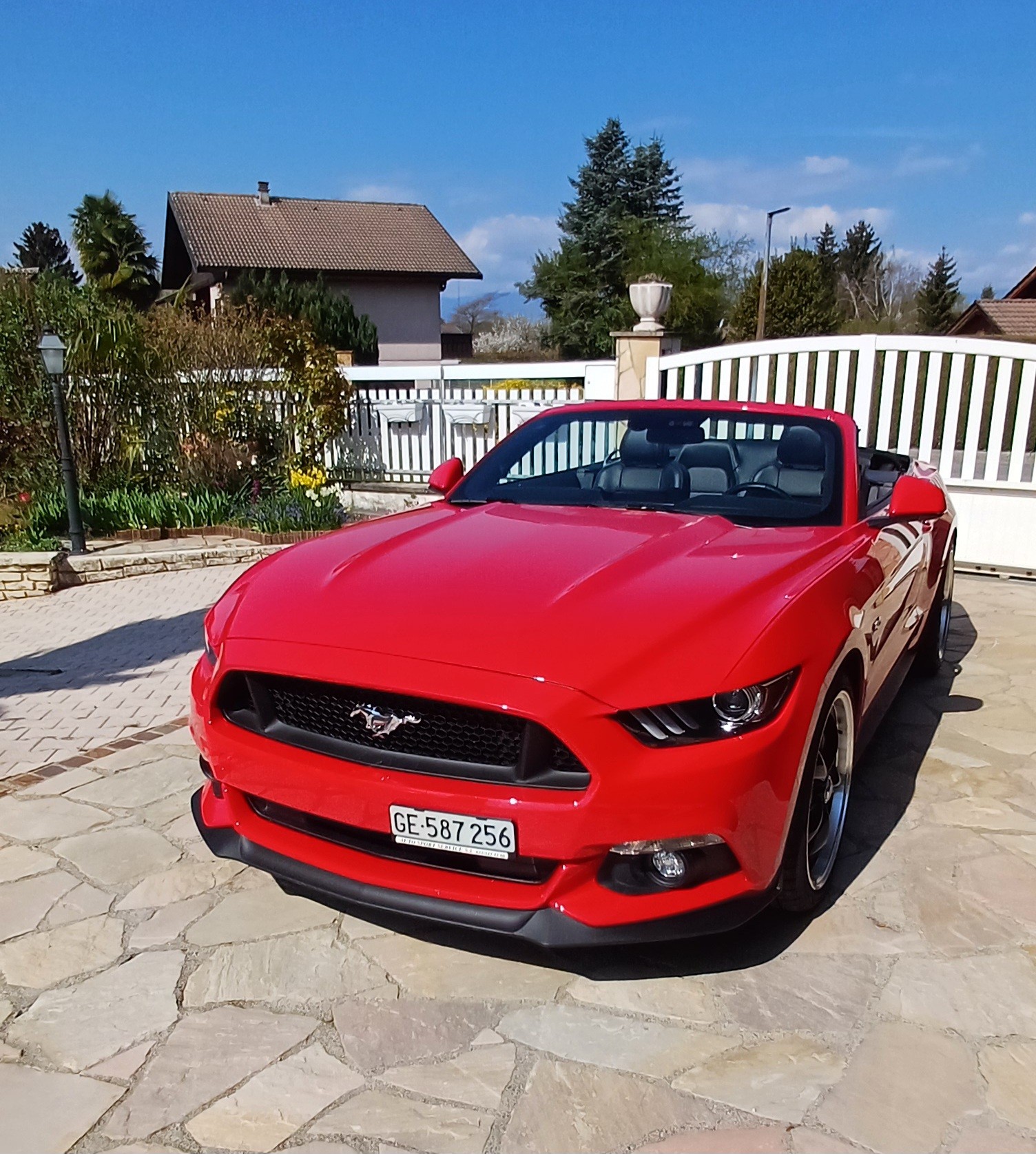 FORD Mustang Convertible 5.0 V8 GT Automat-image-7