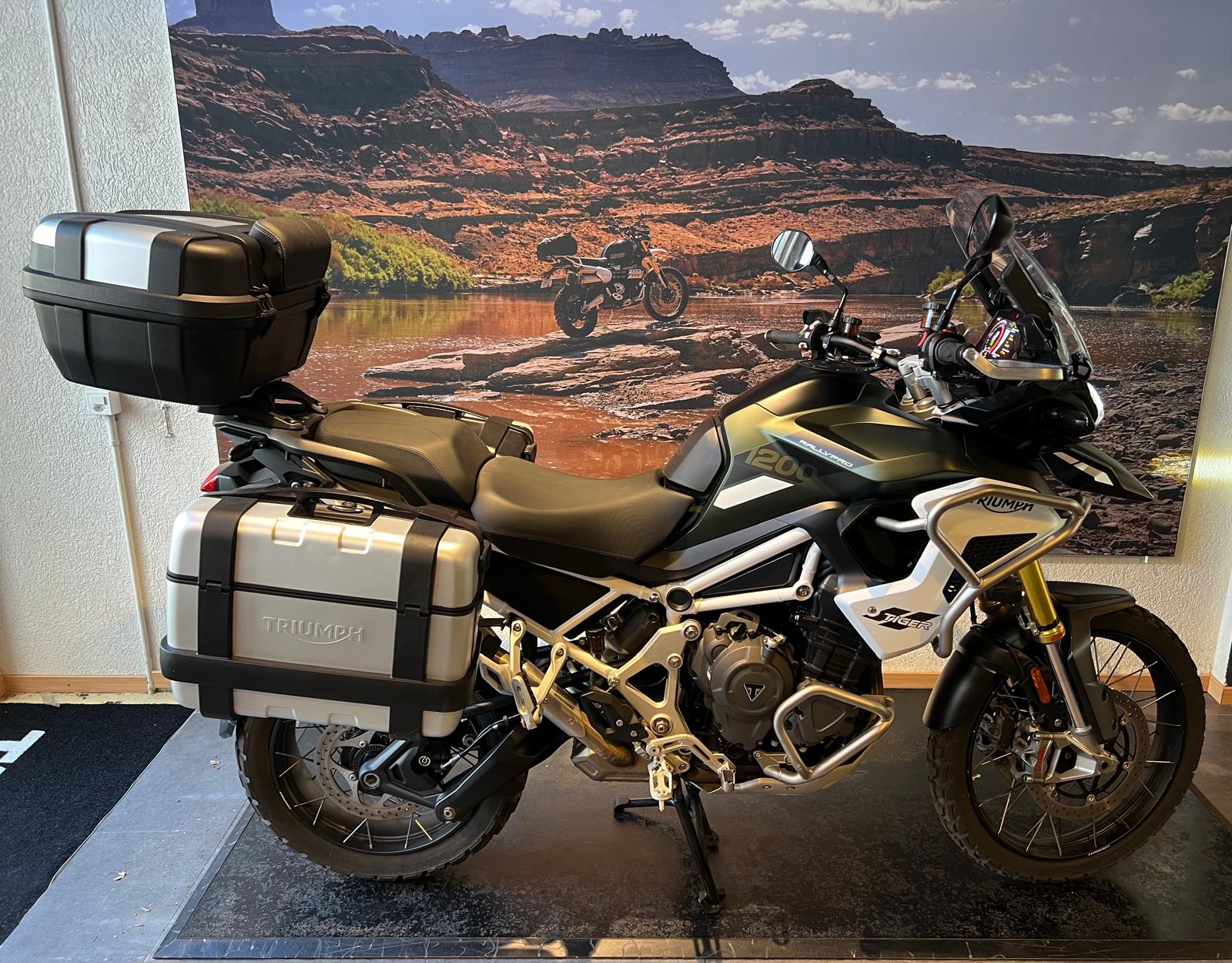 TRIUMPH Tiger 1200 Rally Pro
