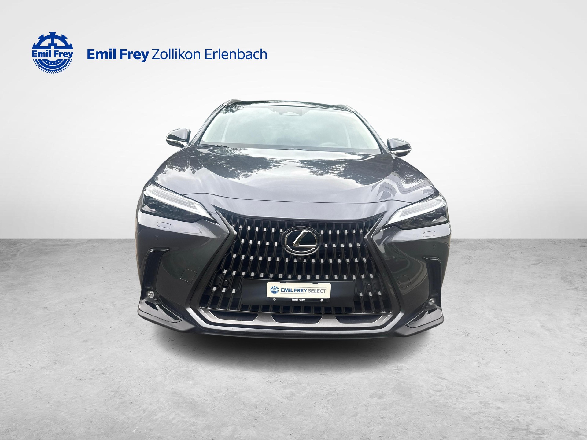 LEXUS NX 450h+ Excellence-image-7