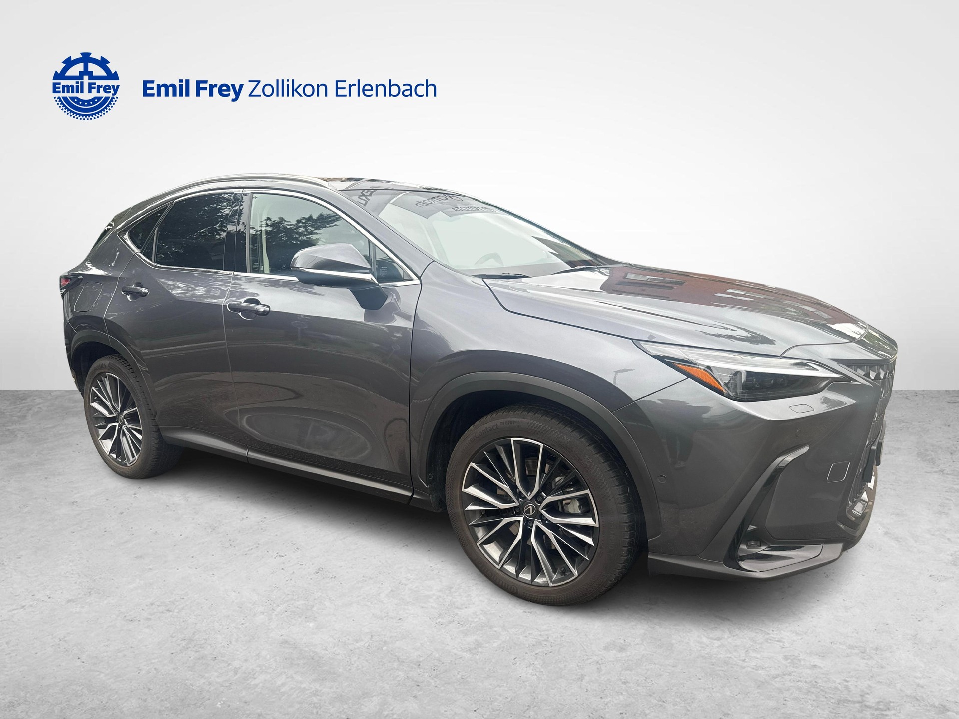LEXUS NX 450h+ Excellence-image-6