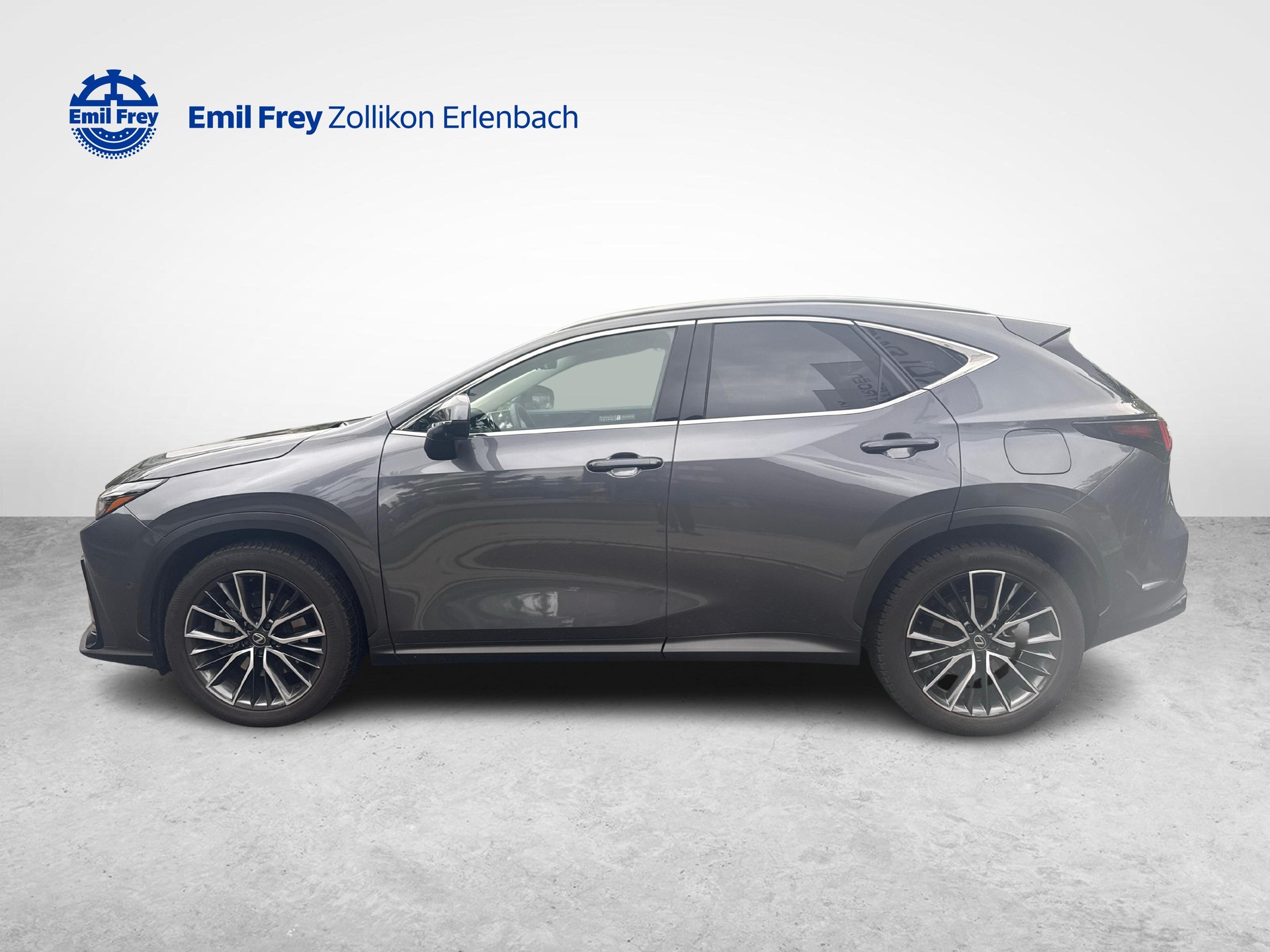 LEXUS NX 450h+ Excellence-showroom-element-1