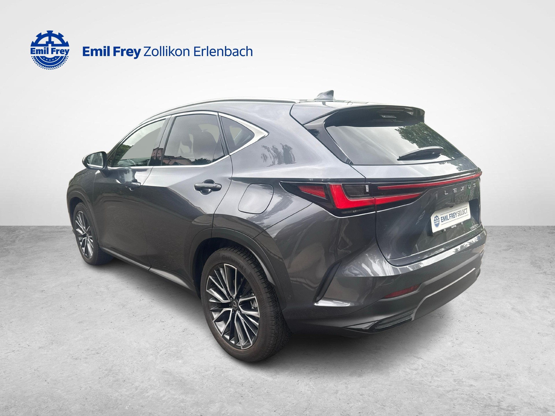 LEXUS NX 450h+ Excellence-showroom-element-2