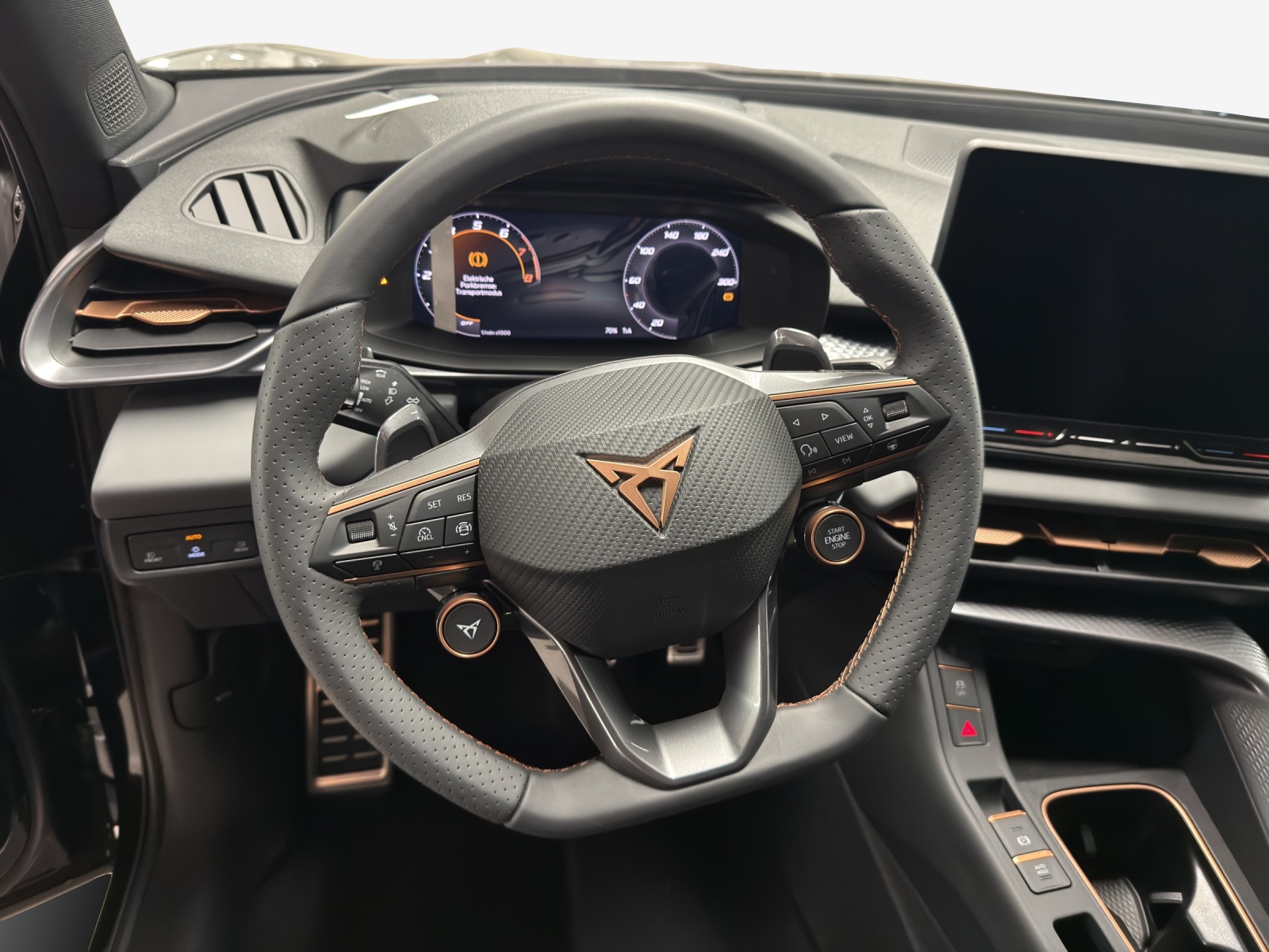 CUPRA Terramar 2.0 TSI DSG 4Drive-image-9