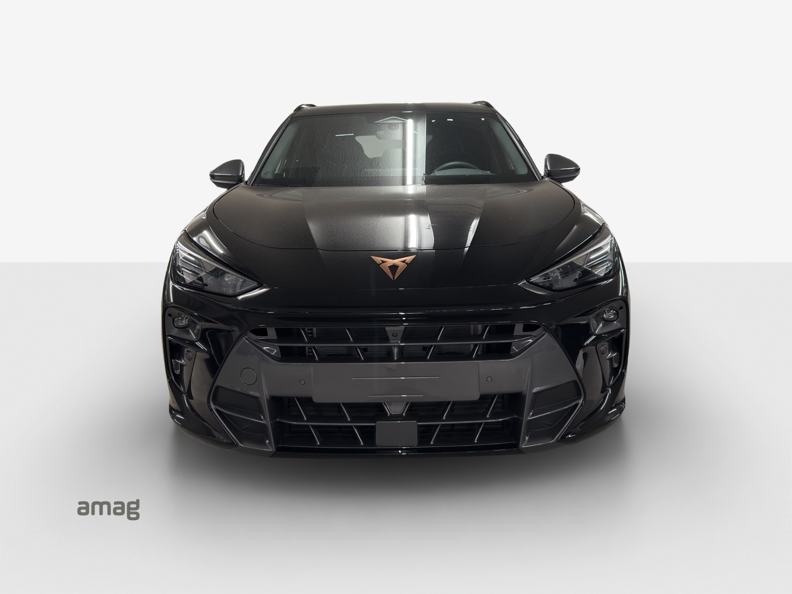 CUPRA Terramar 2.0 TSI DSG 4Drive-image-6