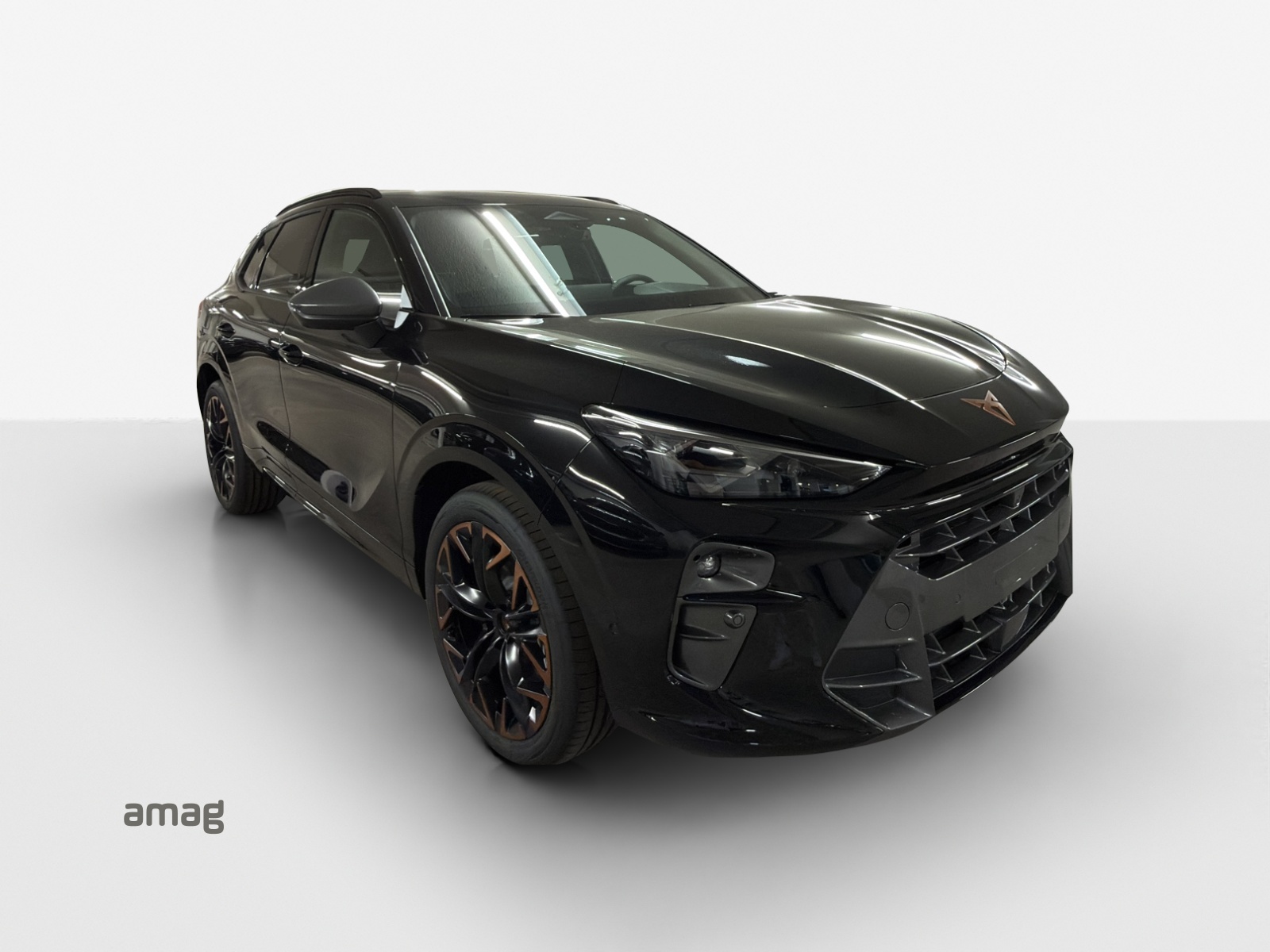 CUPRA Terramar 2.0 TSI DSG 4Drive-image-5