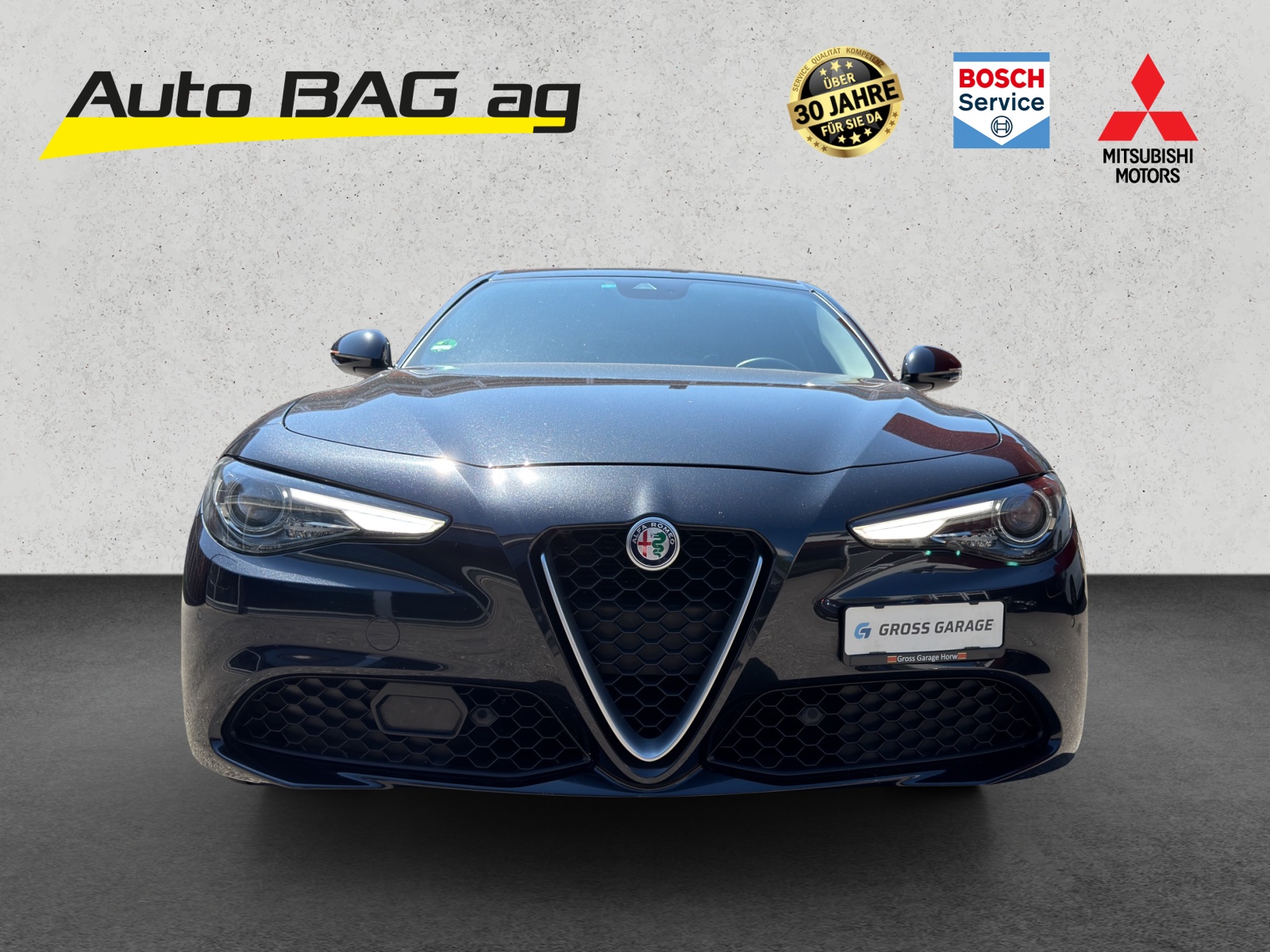 ALFA ROMEO Giulia 2.0 Super-image-7
