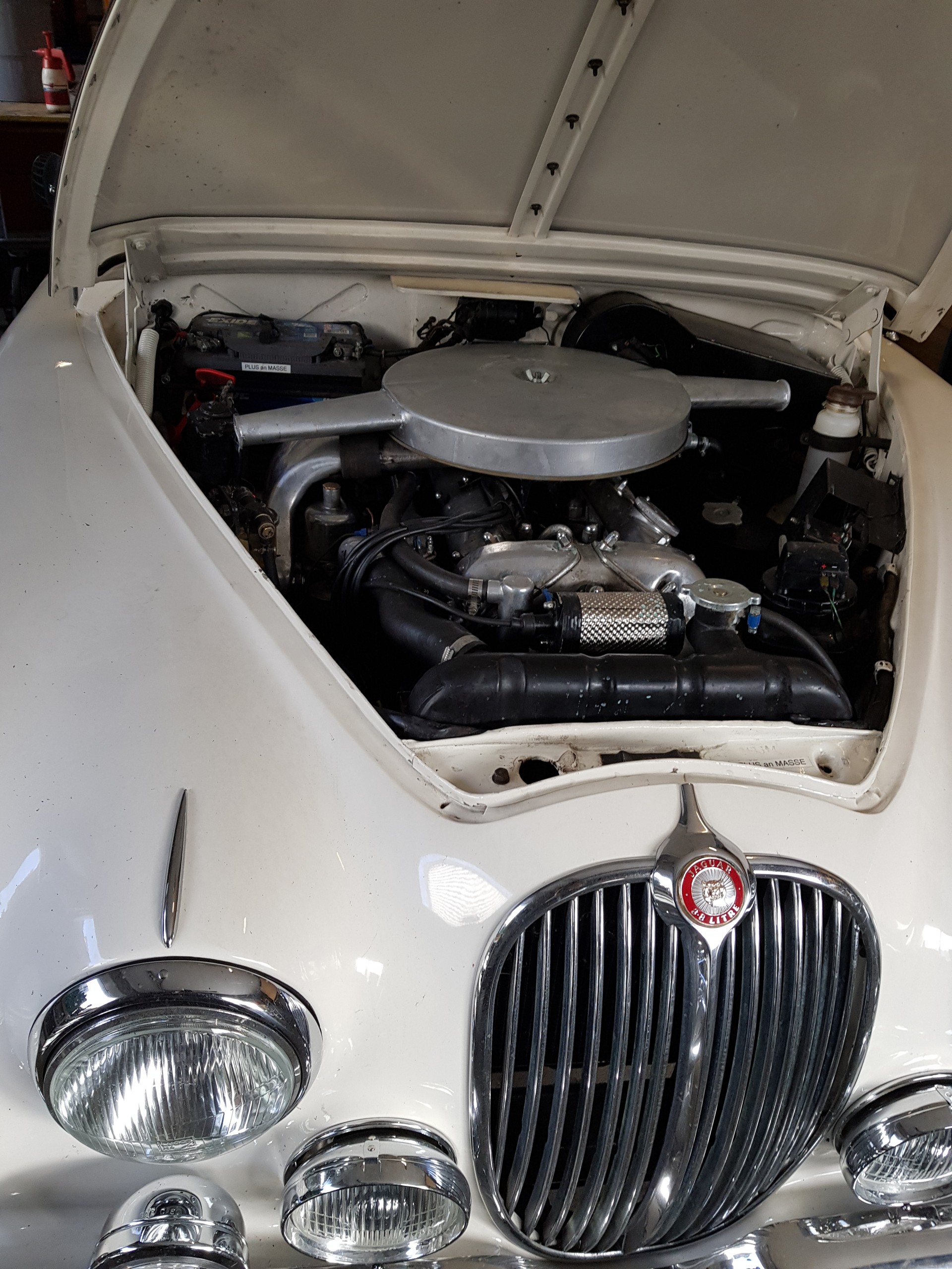 JAGUAR 3.8 lt 220PS-image-4