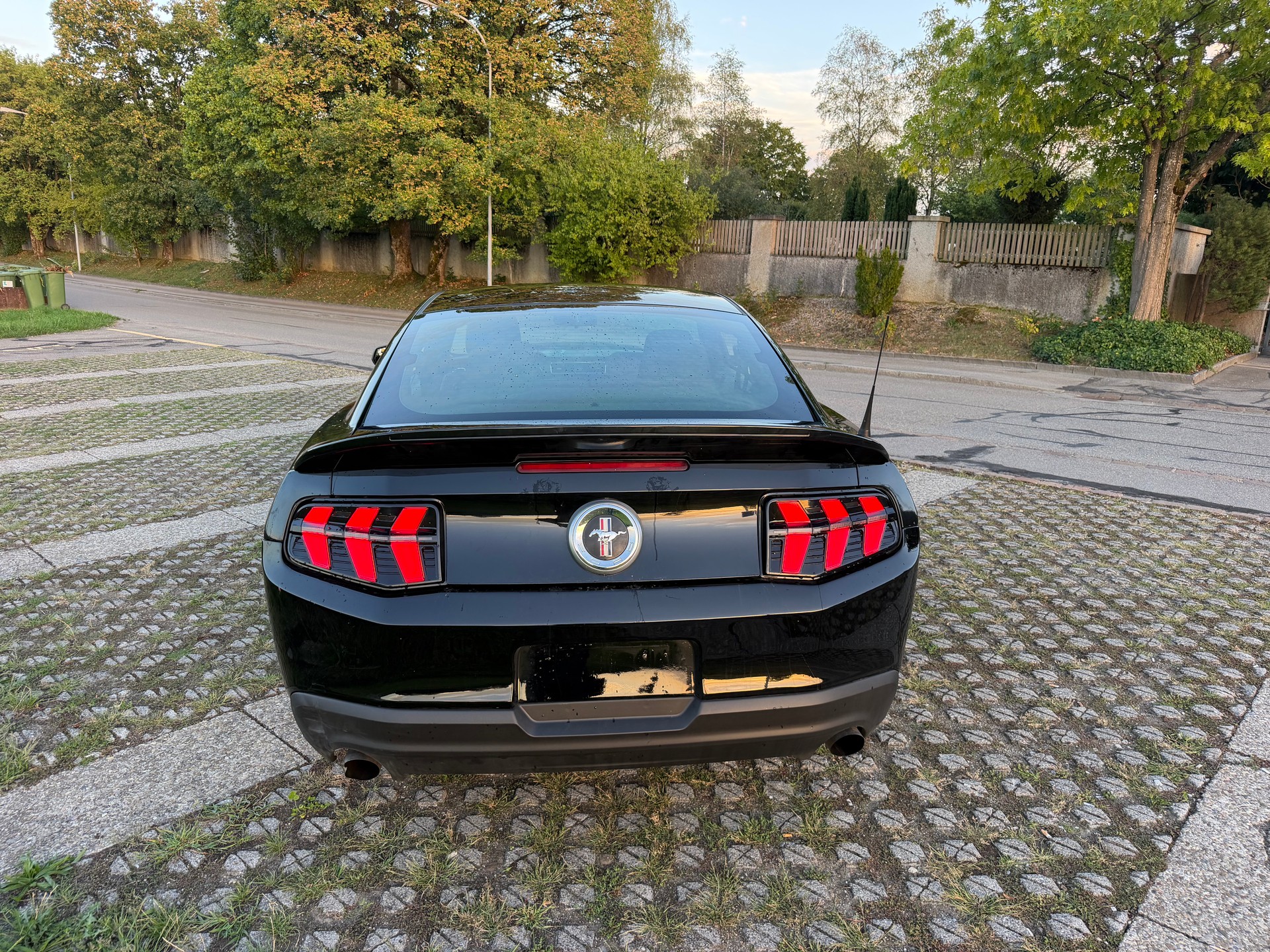 FORD MUSTANG-image-1