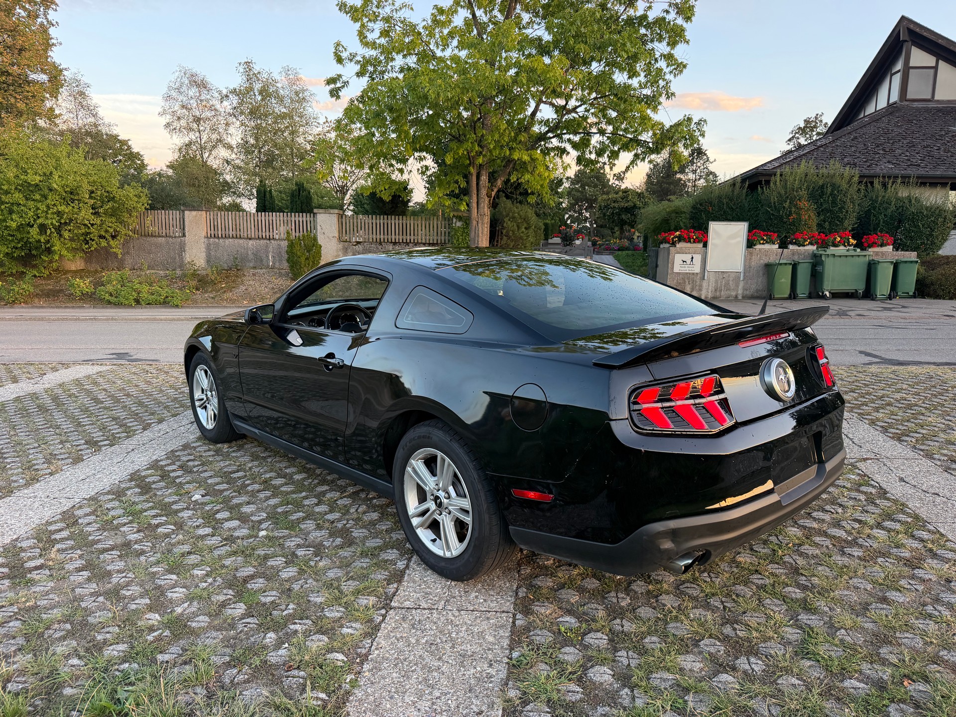 FORD MUSTANG-image-3