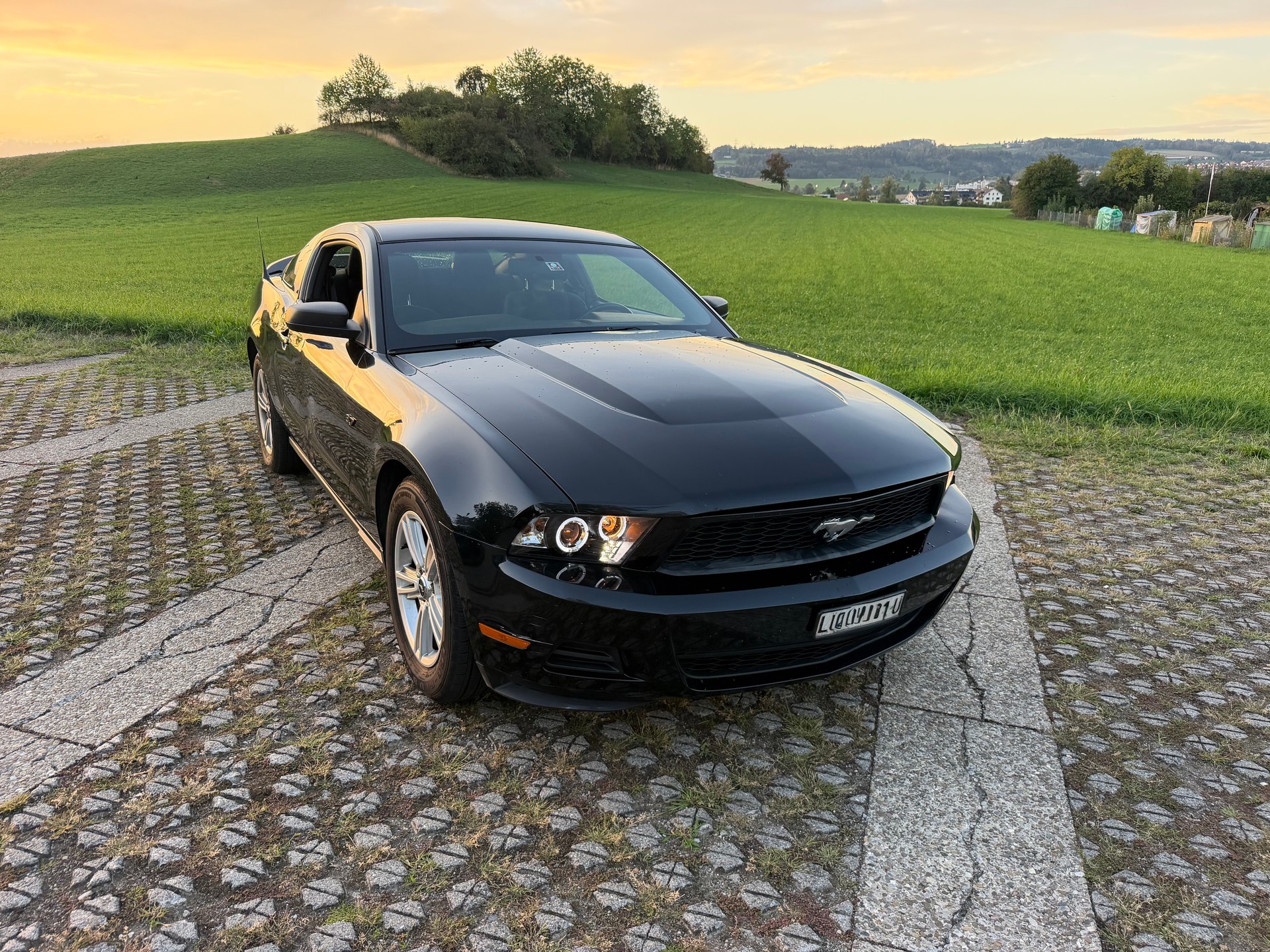 FORD MUSTANG-image-2