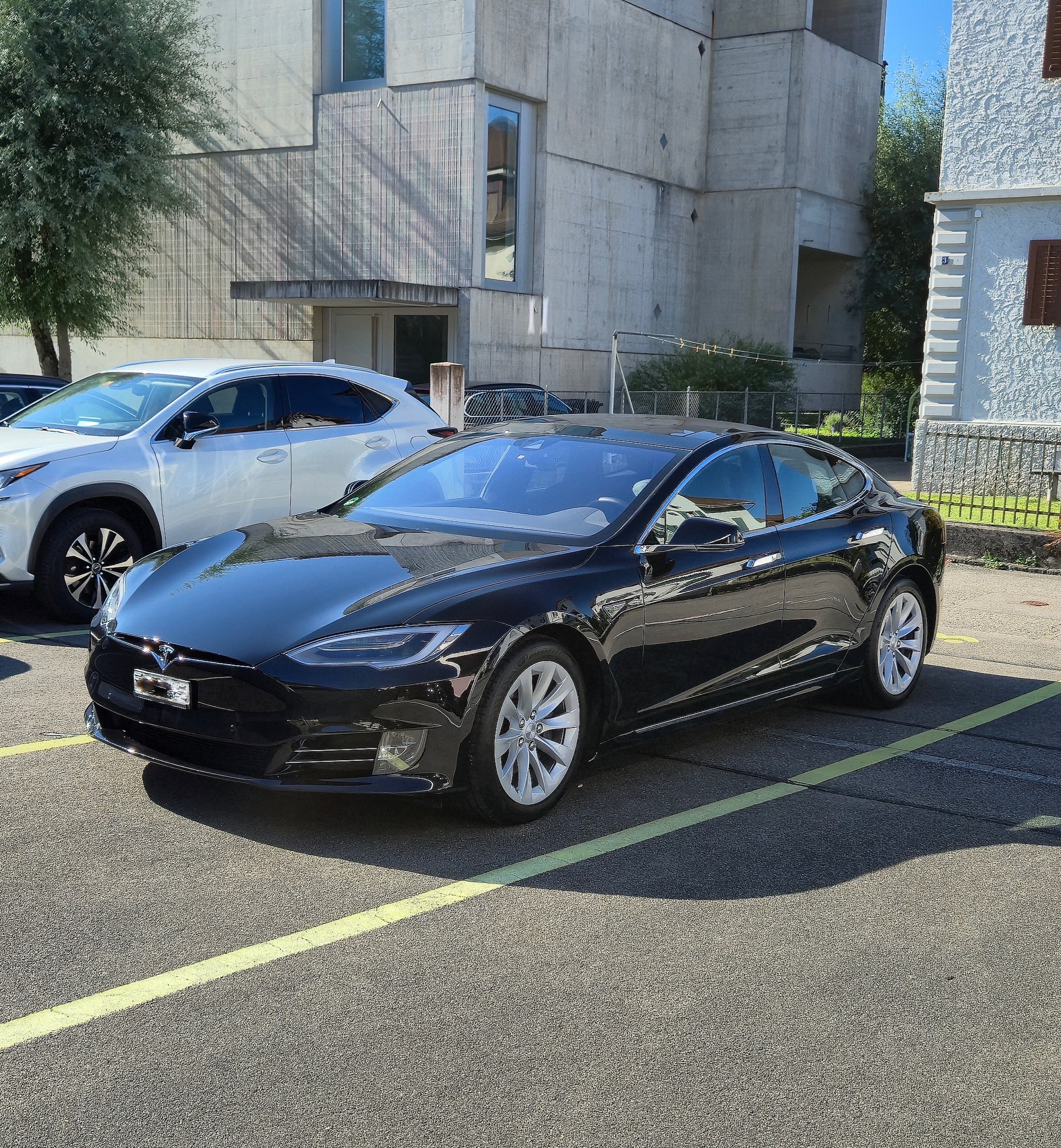 TESLA 75 D-image-2