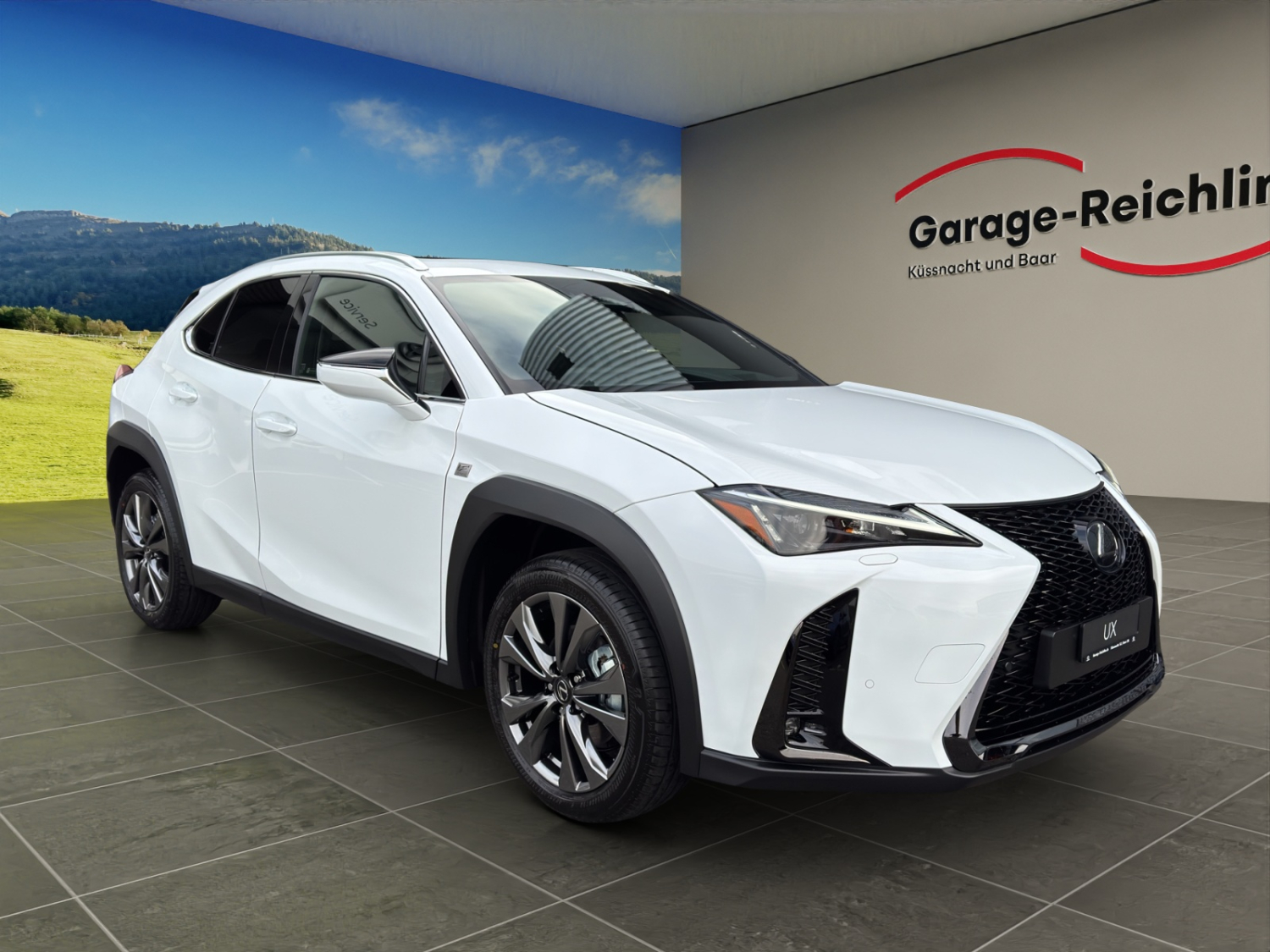 LEXUS UX 300h F-Line-image-6