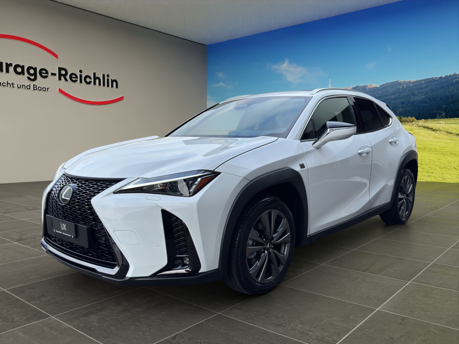 LEXUS UX 300h F-Line-image-0