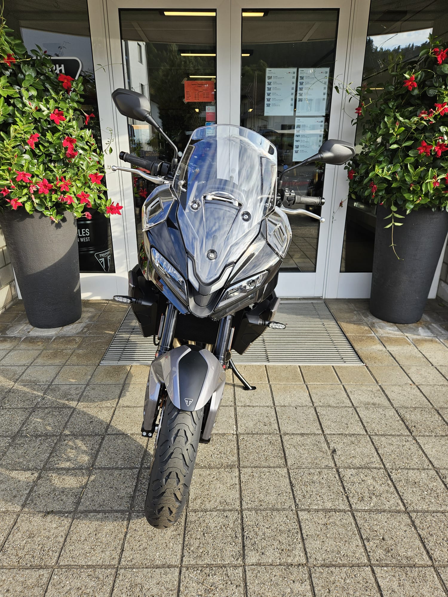 TRIUMPH Tiger Sport 800-image-5