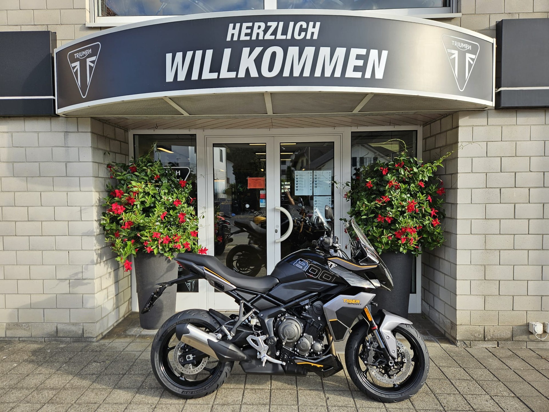 TRIUMPH Tiger Sport 800