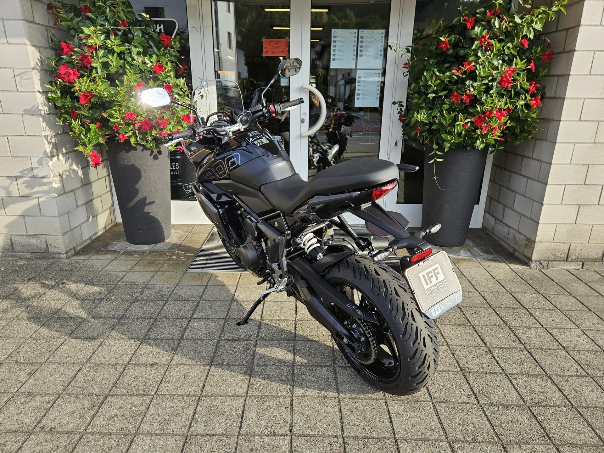 TRIUMPH Tiger Sport 800-showroom-element-3