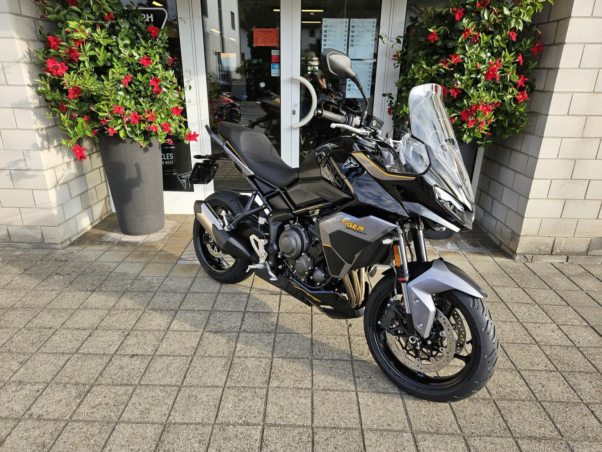 TRIUMPH Tiger Sport 800-showroom-element-2
