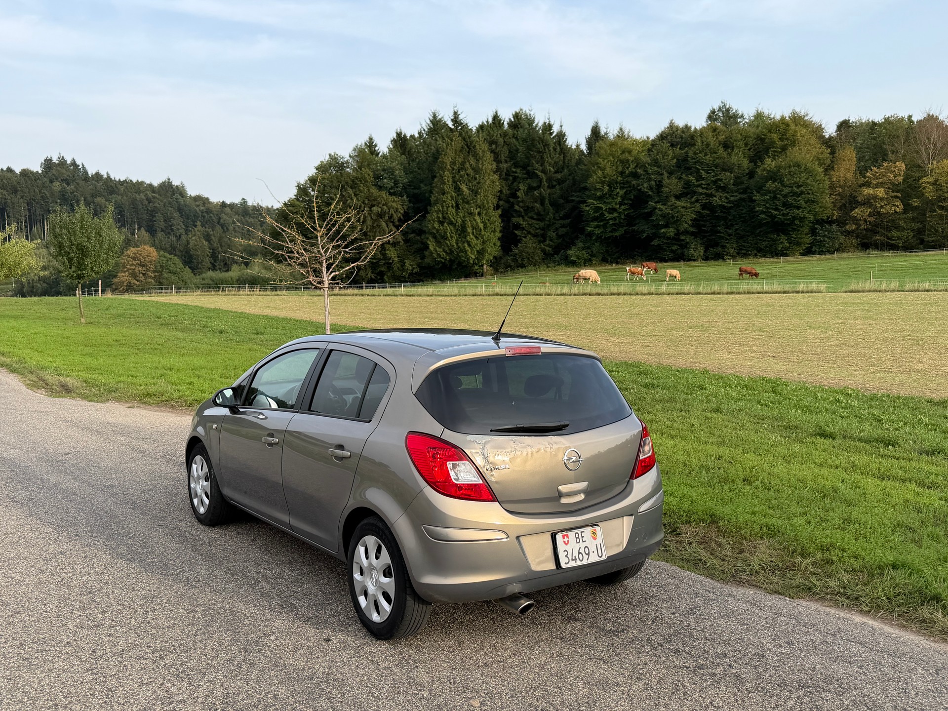 OPEL Corsa 1.4 TP Enjoy-image-2
