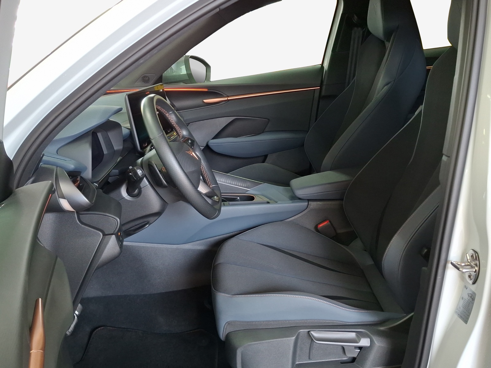 CUPRA Terramar 2.0 TSI DSG 4Drive VZ-image-7