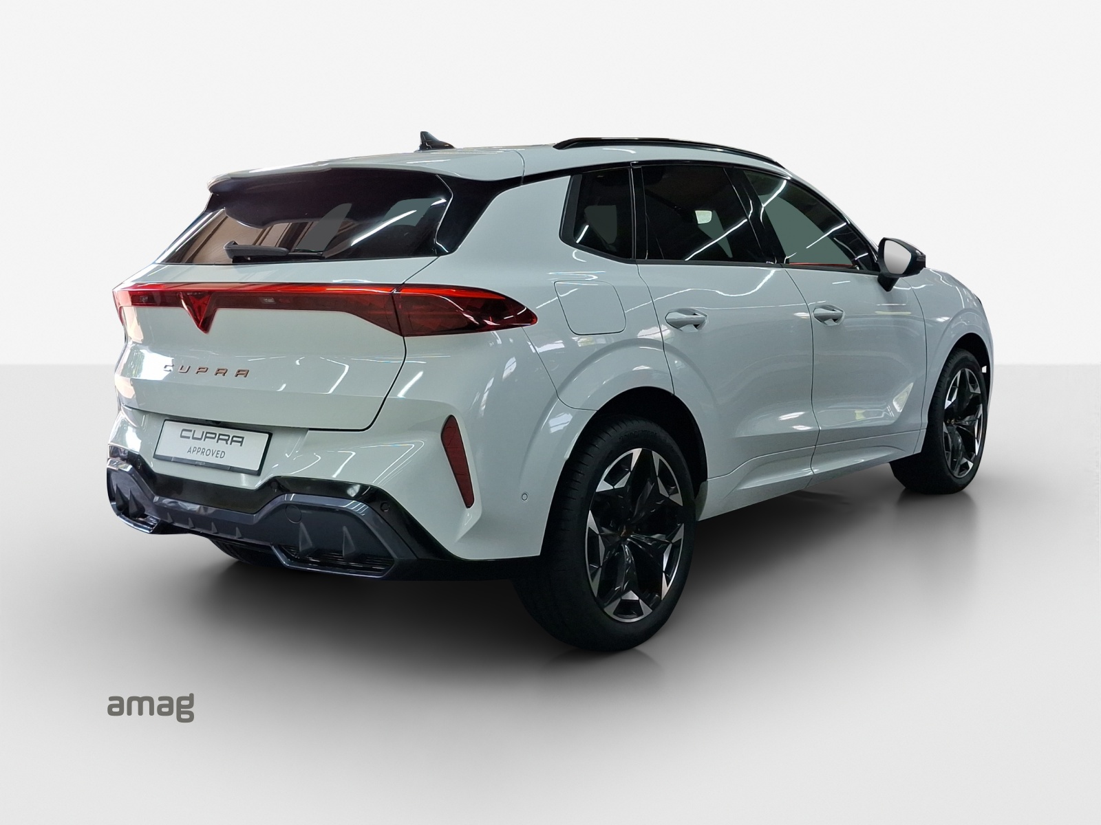 CUPRA Terramar 2.0 TSI DSG 4Drive VZ-image-4