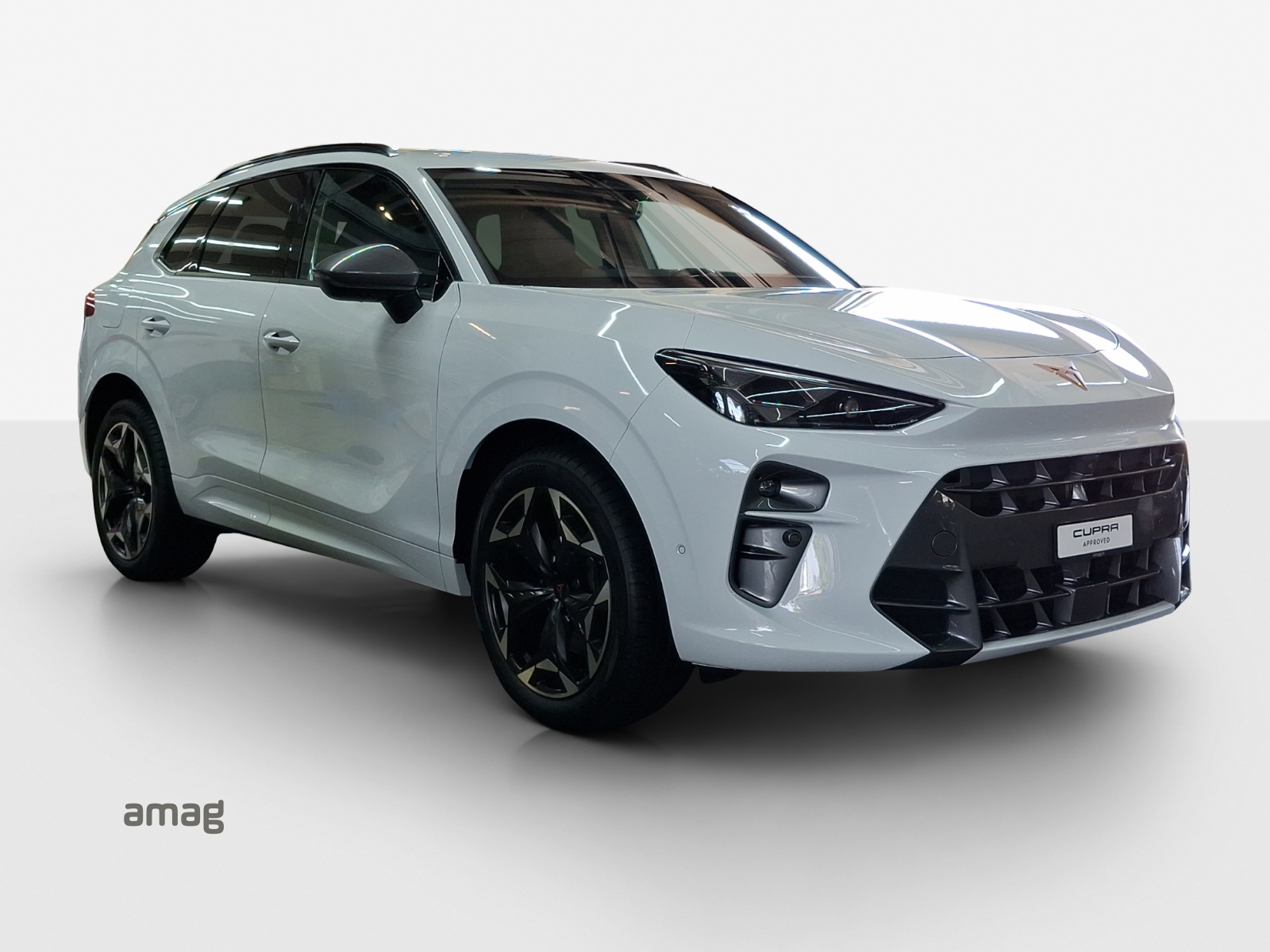 CUPRA Terramar 2.0 TSI DSG 4Drive VZ-image-5