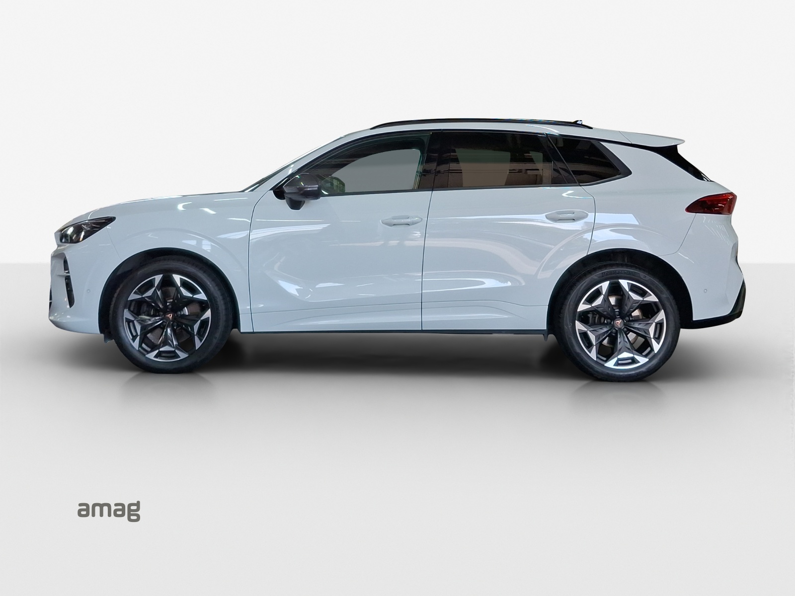 CUPRA Terramar 2.0 TSI DSG 4Drive VZ-image-1
