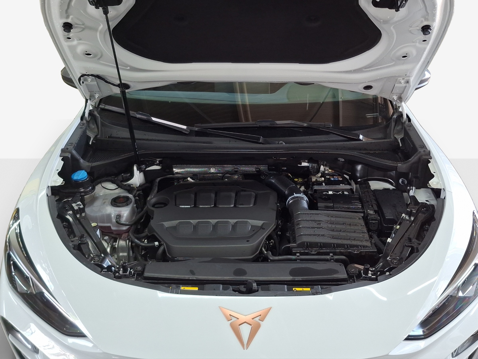 CUPRA Terramar 2.0 TSI DSG 4Drive VZ-image-15