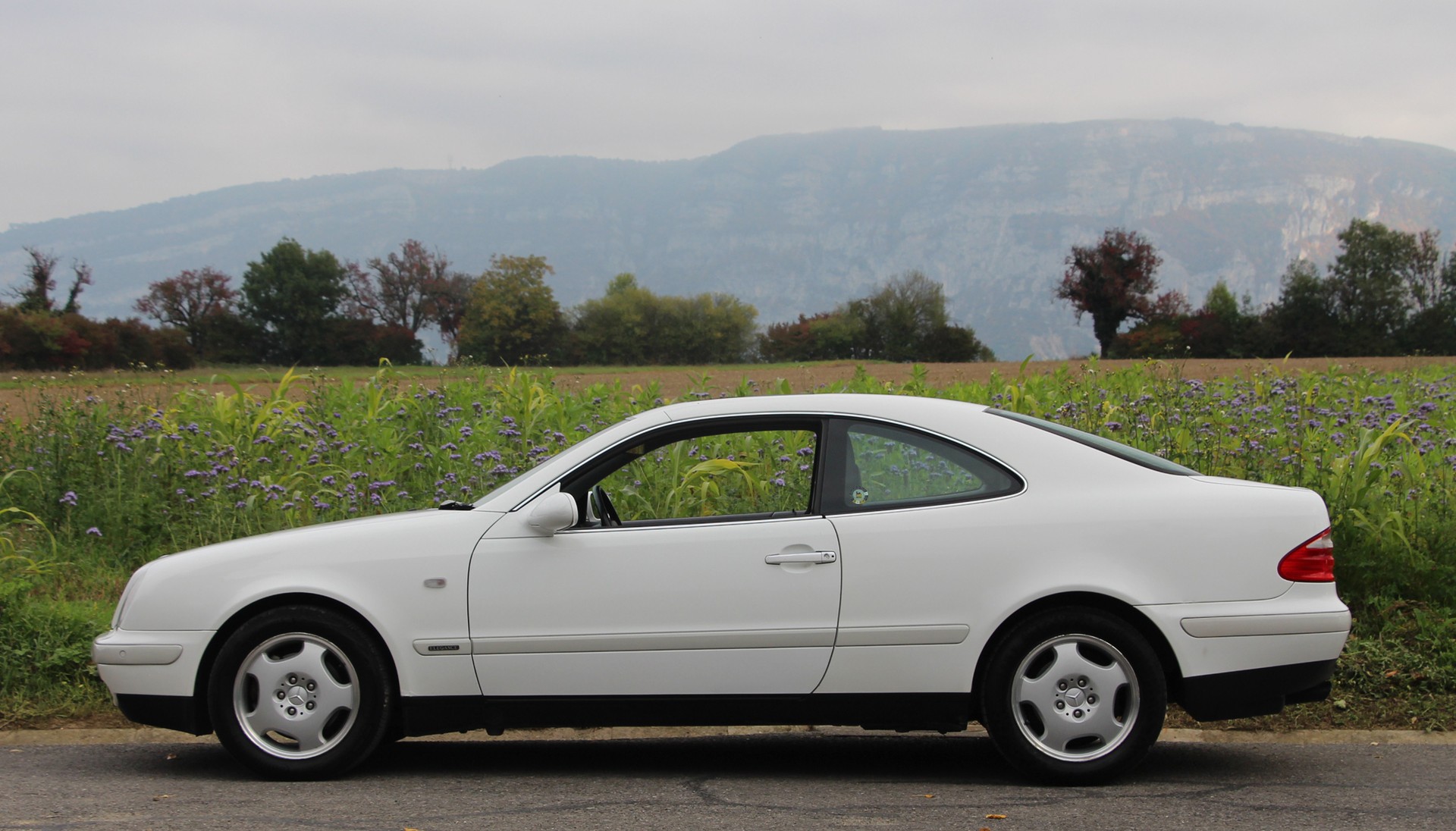 MERCEDES-BENZ CLK 320 Elégance Automatic-image-17