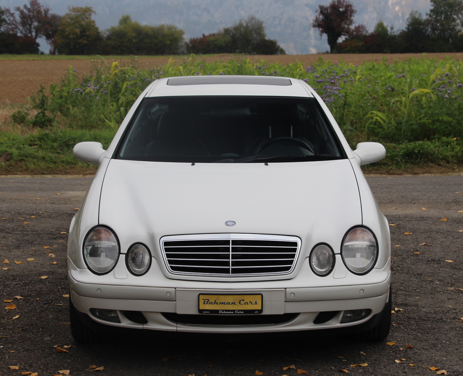 MERCEDES-BENZ CLK 320 Elégance Automatic-image-15