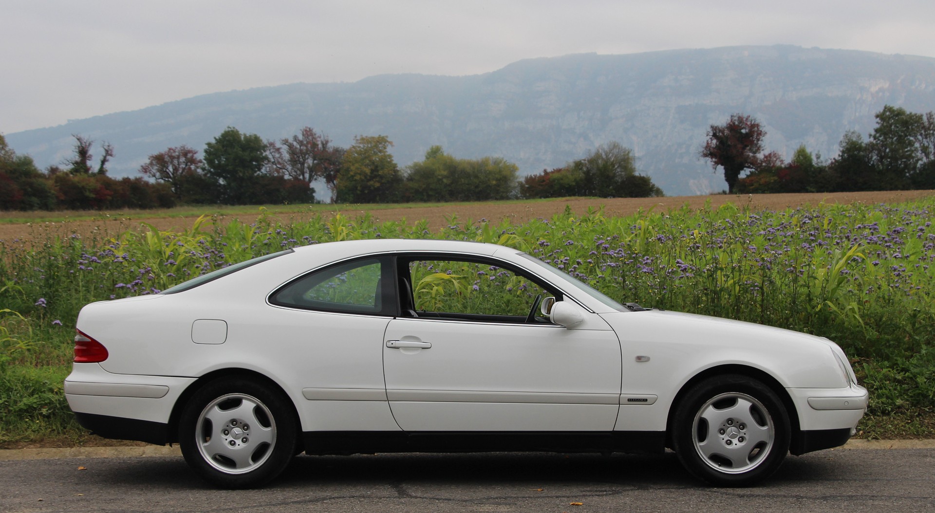 MERCEDES-BENZ CLK 320 Elégance Automatic-image-18
