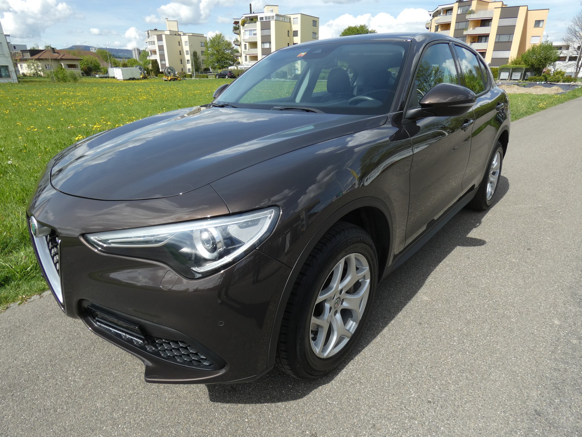 ALFA ROMEO Stelvio 2.0 Super Q4 Automatic-showroom-element-1