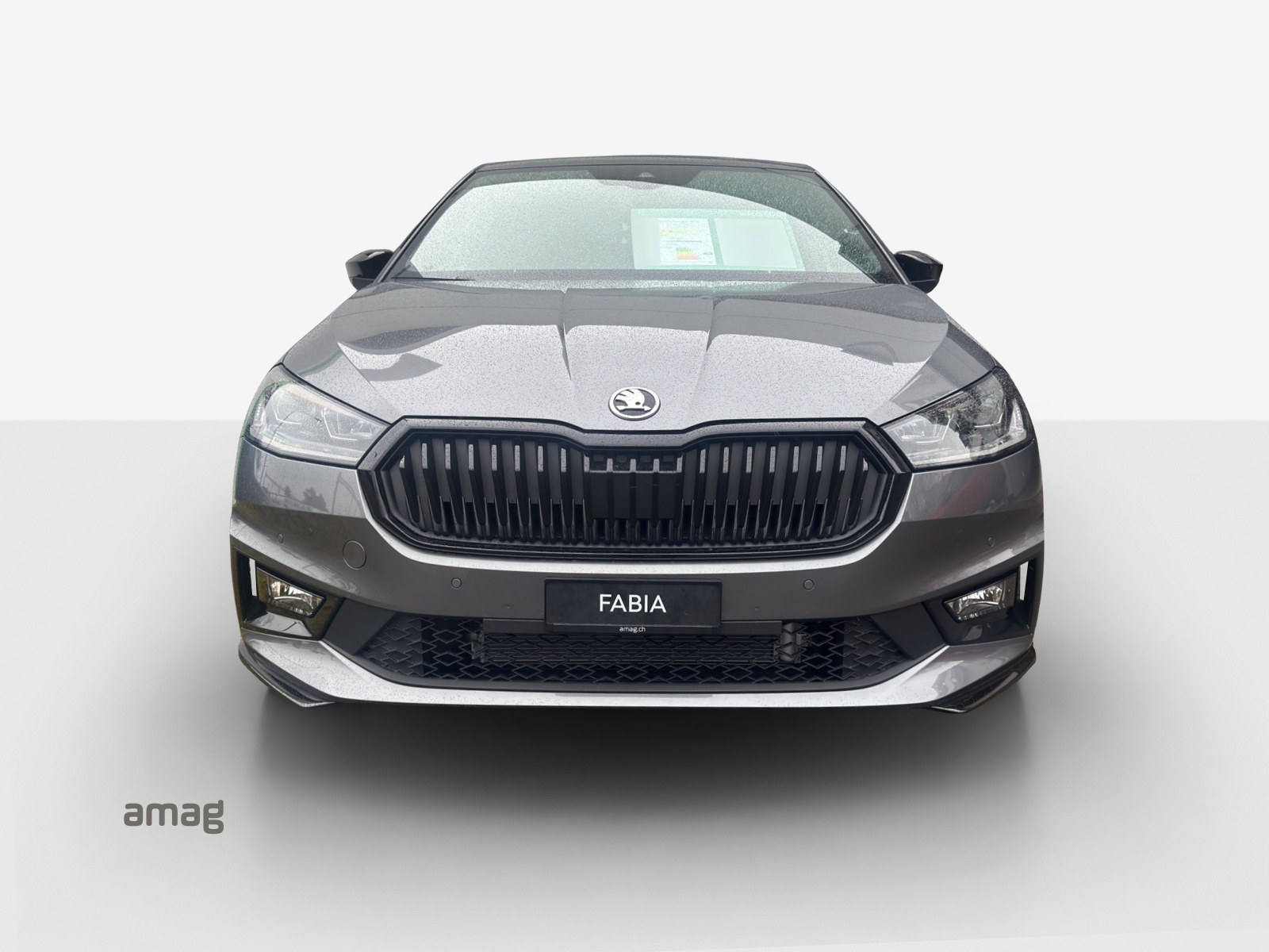 SKODA Fabia 1.0 TSI Monte Carlo DSG-image-3
