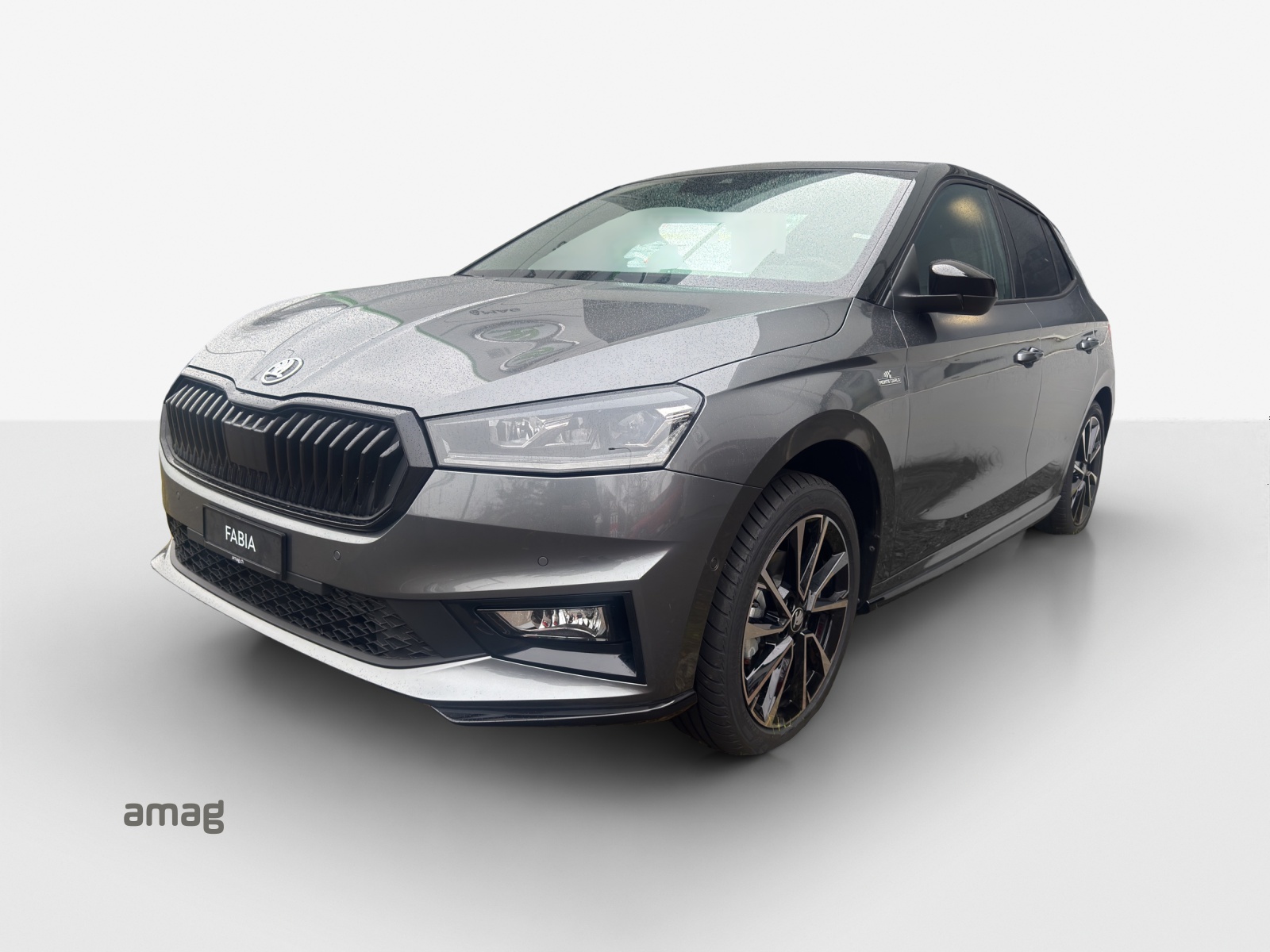 SKODA Fabia 1.0 TSI Monte Carlo DSG-image-0