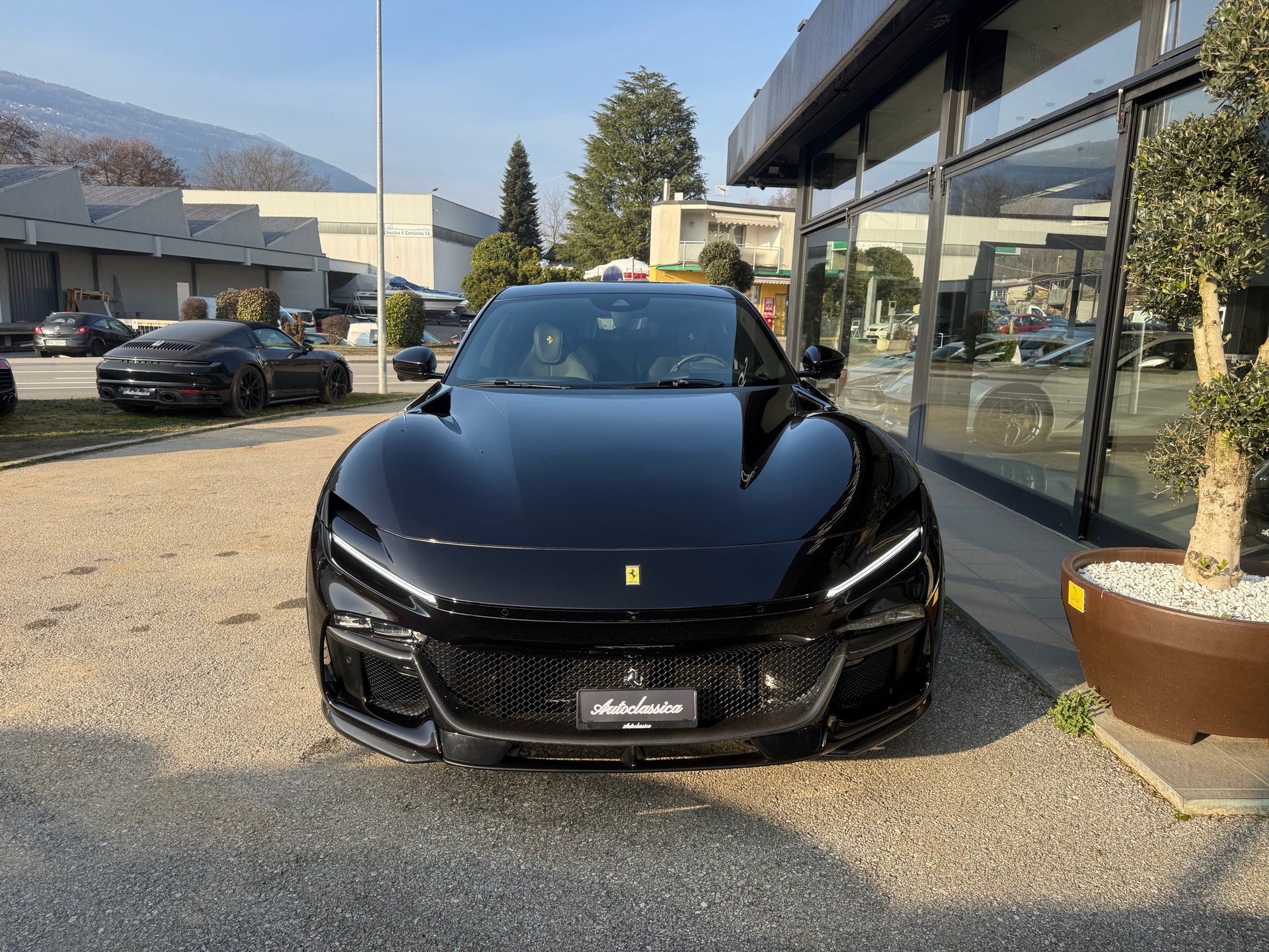 FERRARI PUROSANGUE-image-1