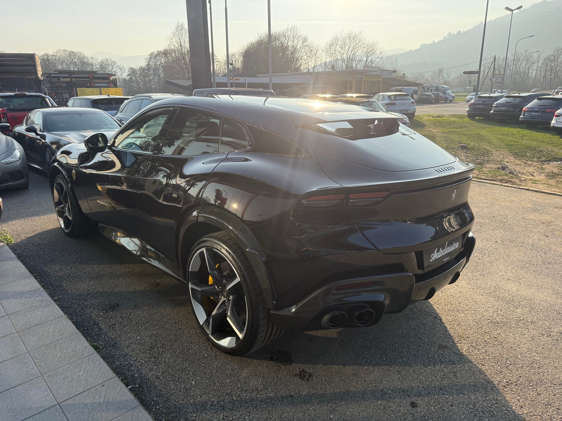 FERRARI PUROSANGUE-image-6