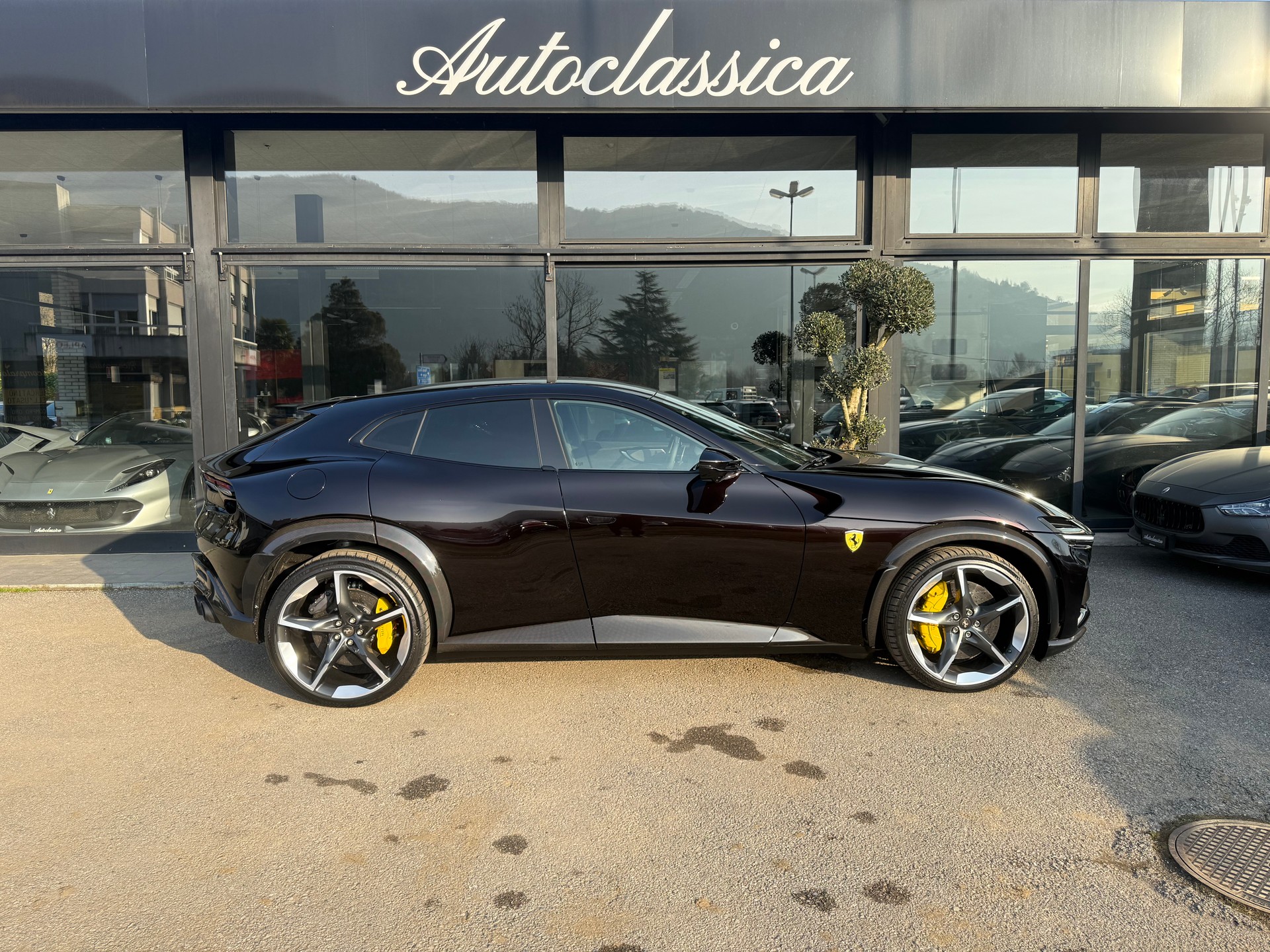 FERRARI PUROSANGUE-image-3