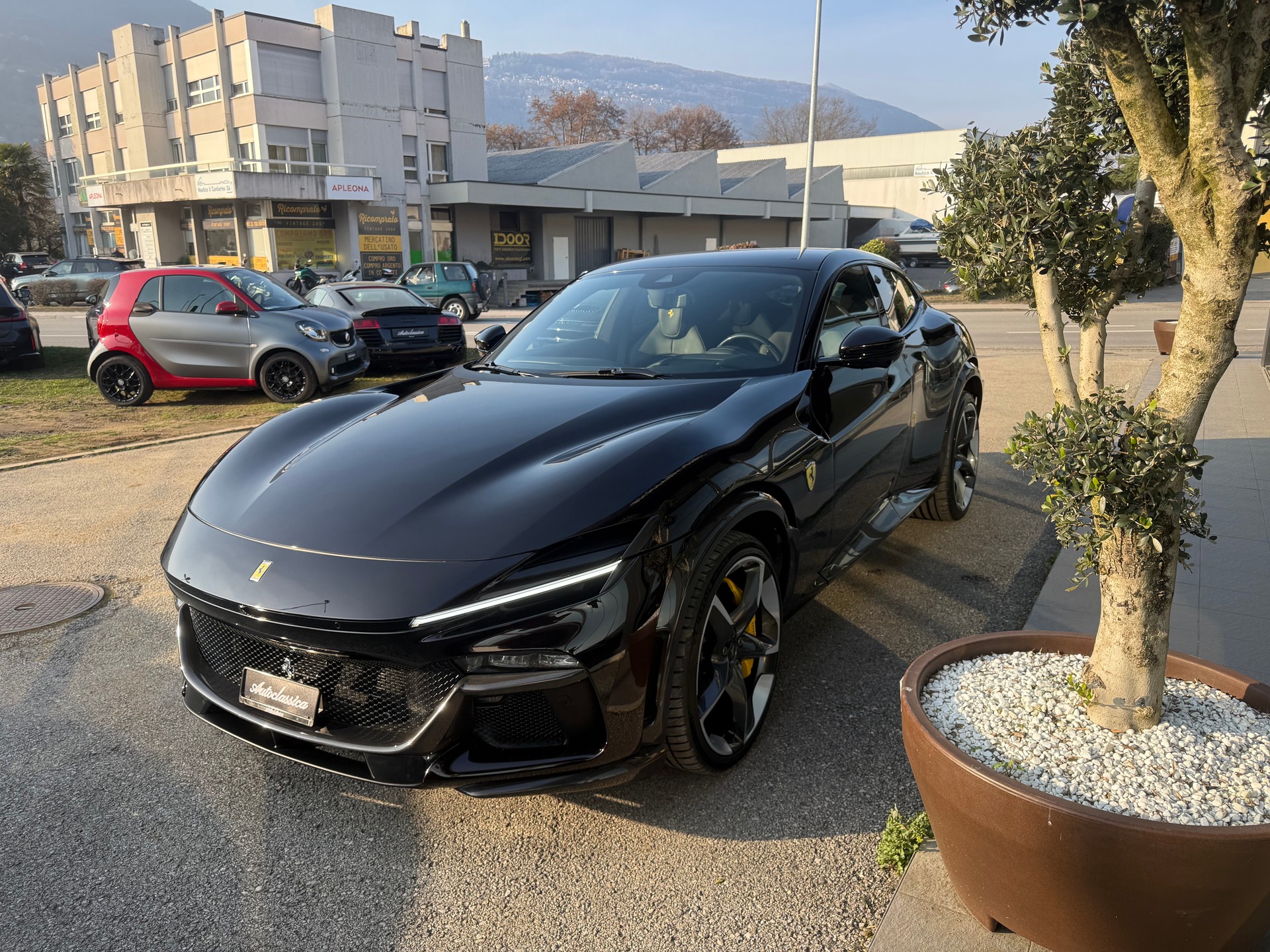 FERRARI PUROSANGUE-image-5