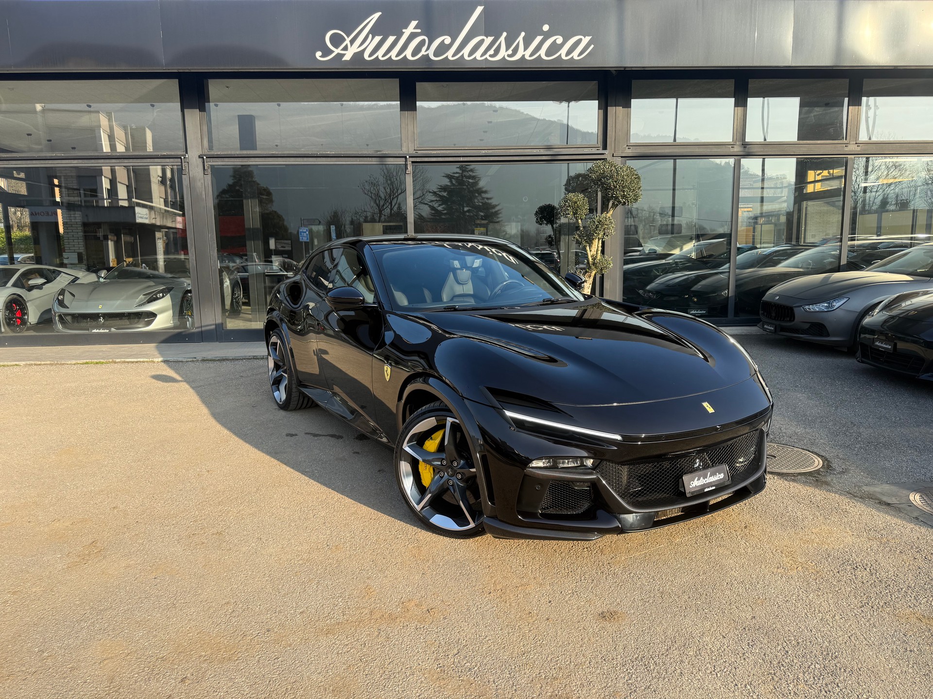 FERRARI PUROSANGUE-image-0