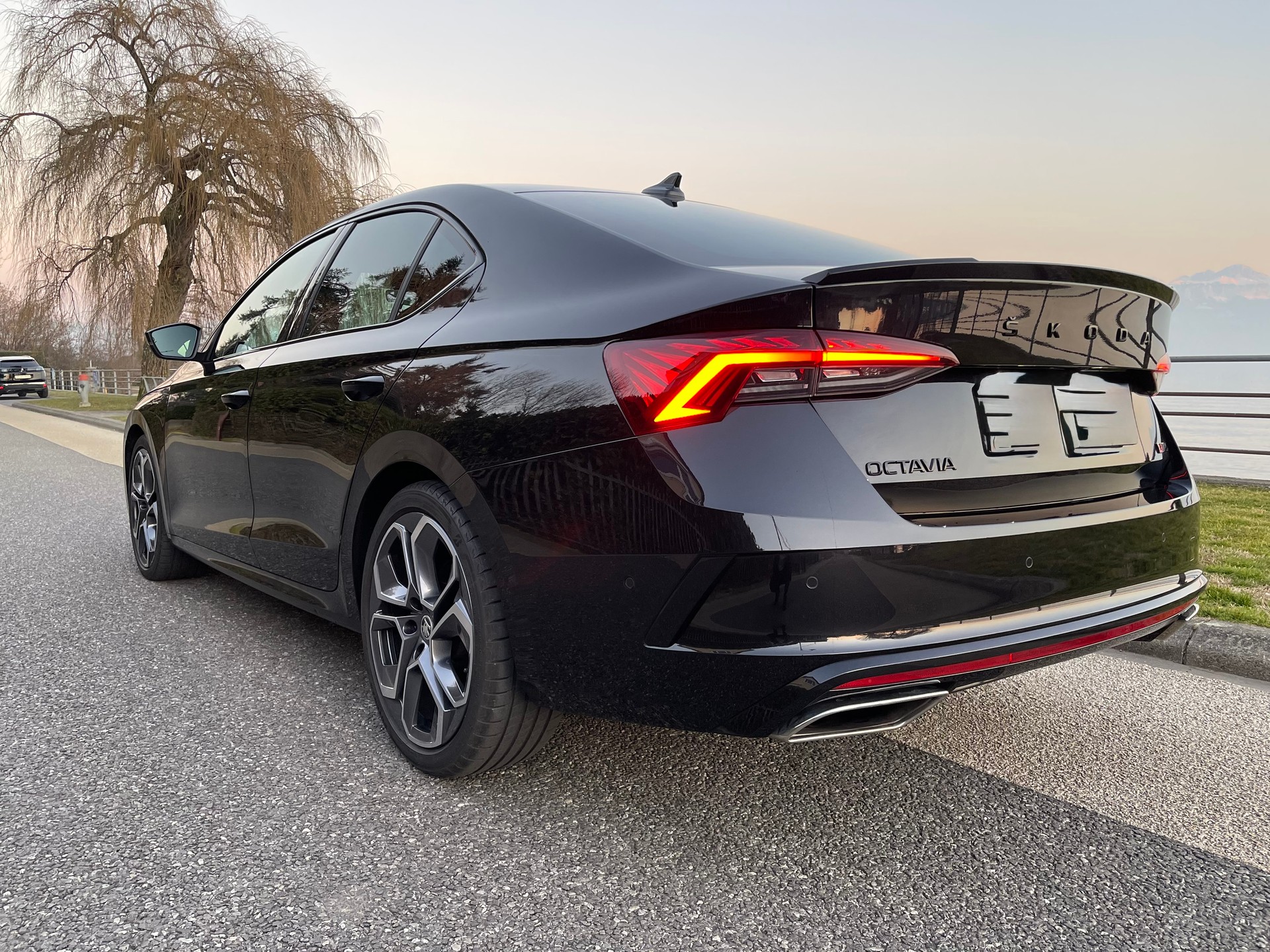 SKODA 2.0 TDI RS DSG-image-2