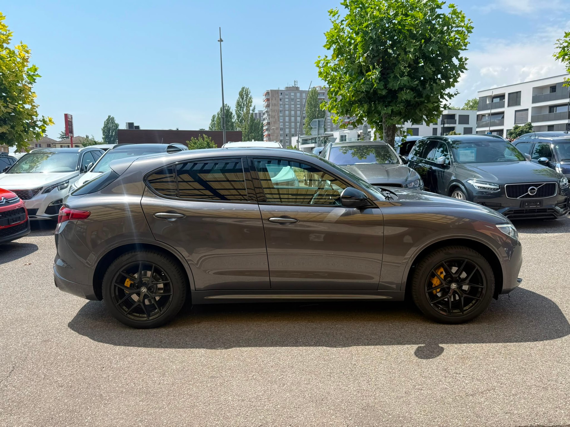 ALFA ROMEO Stelvio 2.0 Super Q4 Automatic-image-4