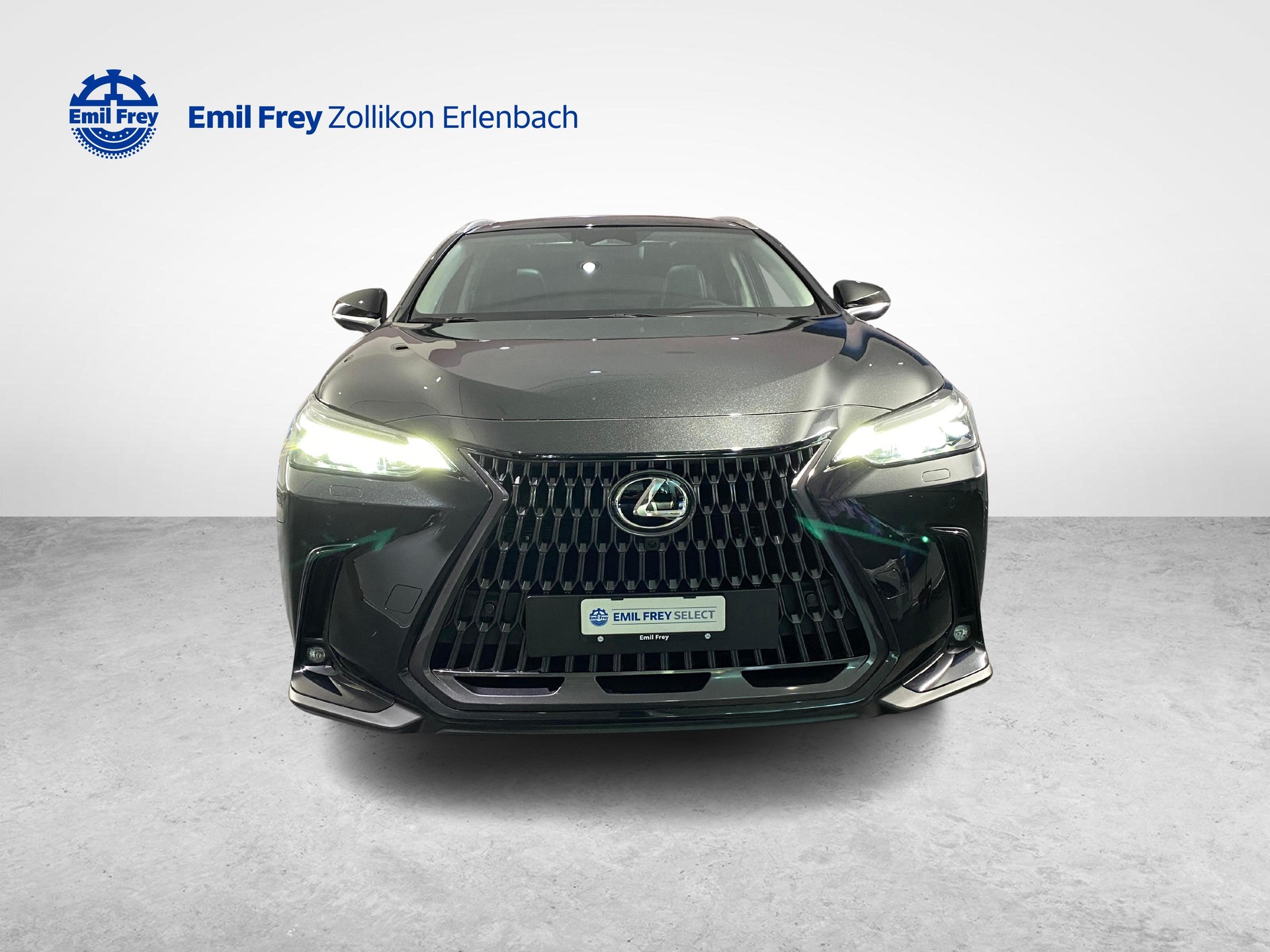 LEXUS NX 450h+ Excellence-image-7