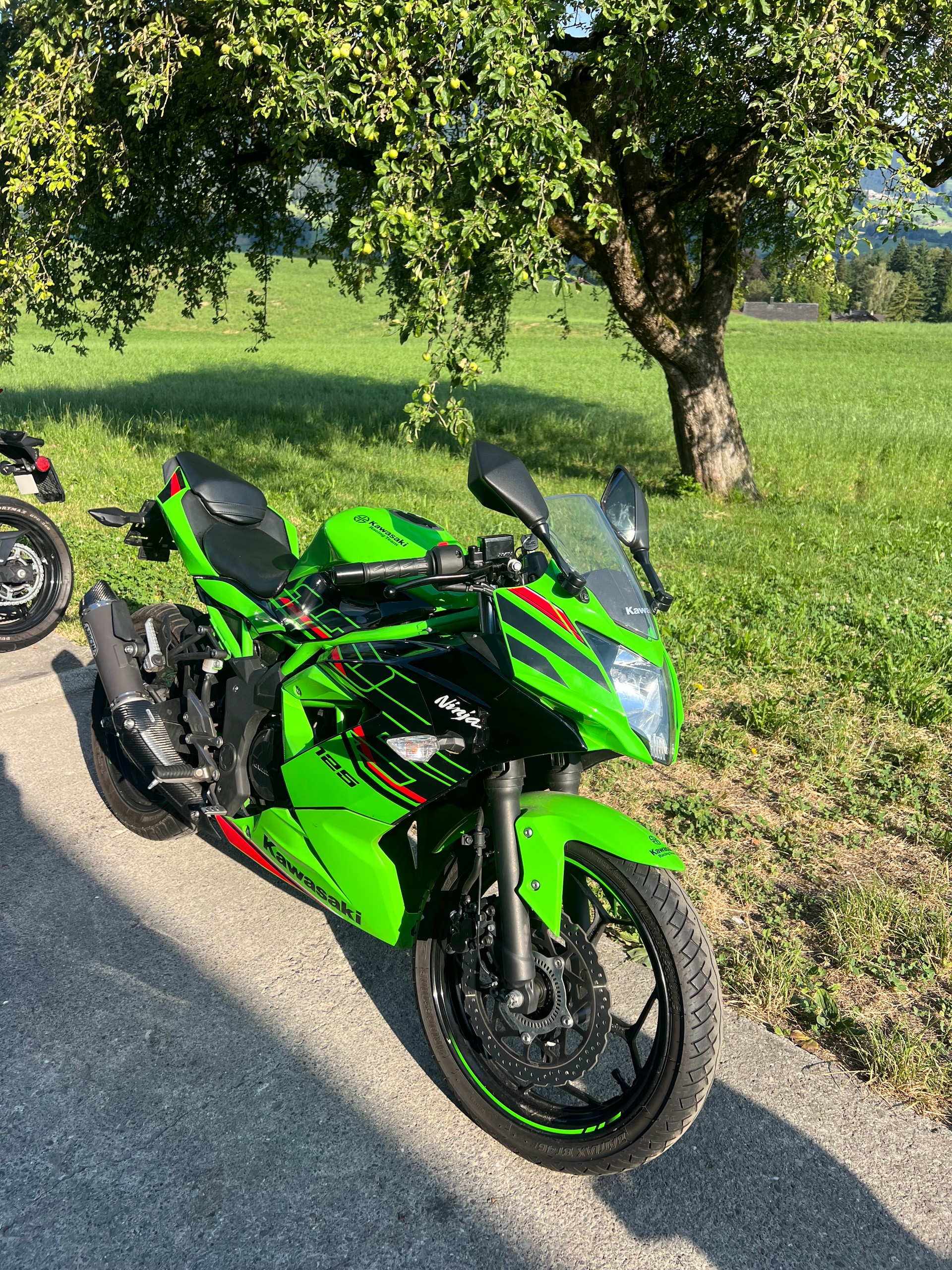 KAWASAKI Ninja 125-image-1